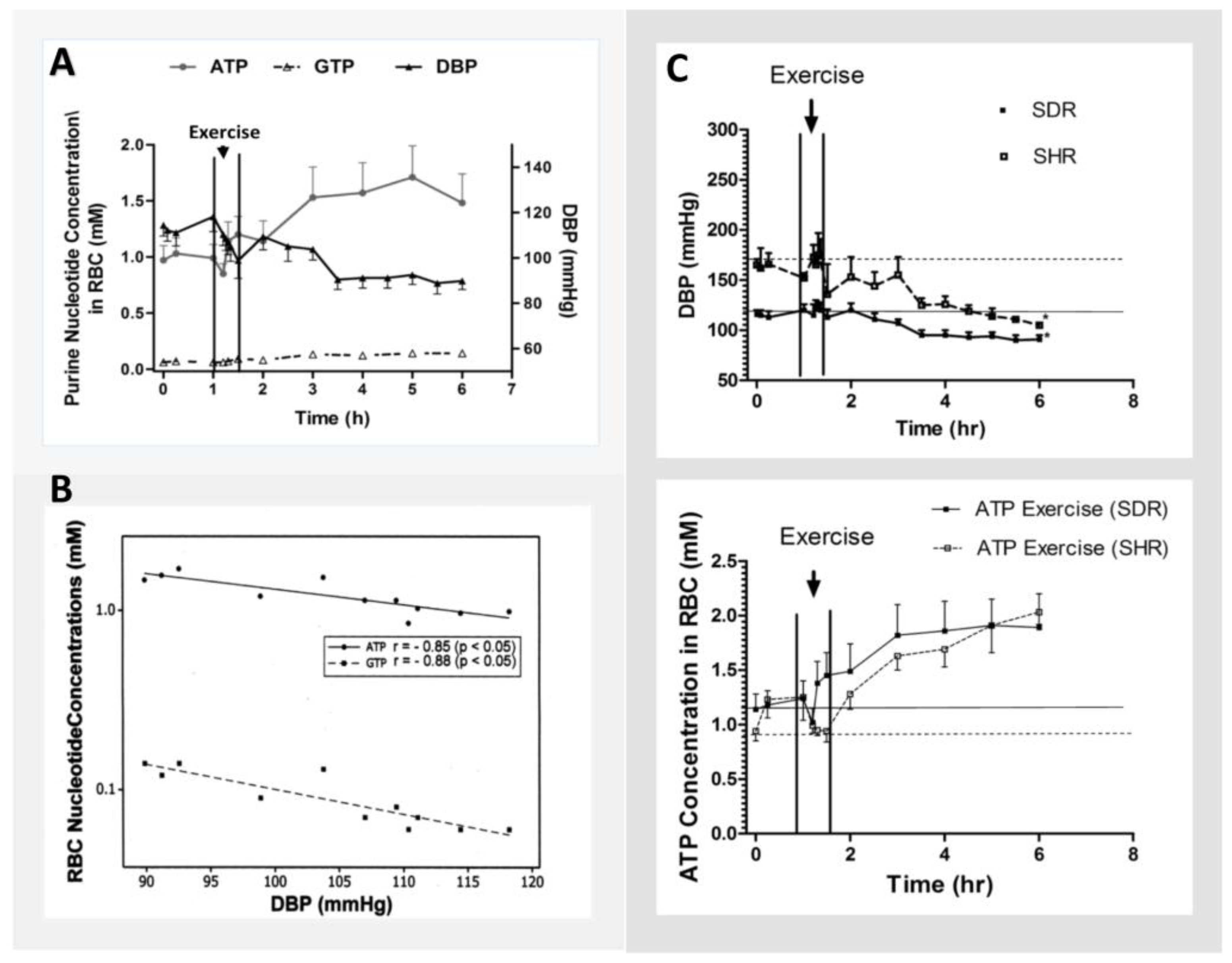 Metabolites 08 00030 g004
