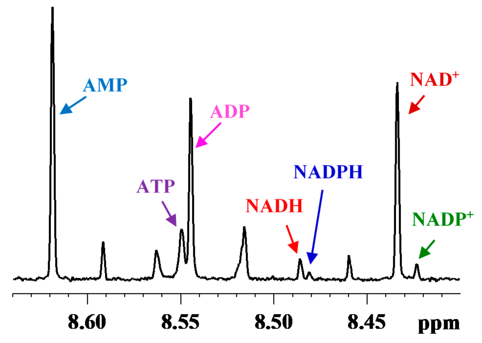 Metabolites 08 00032 g001