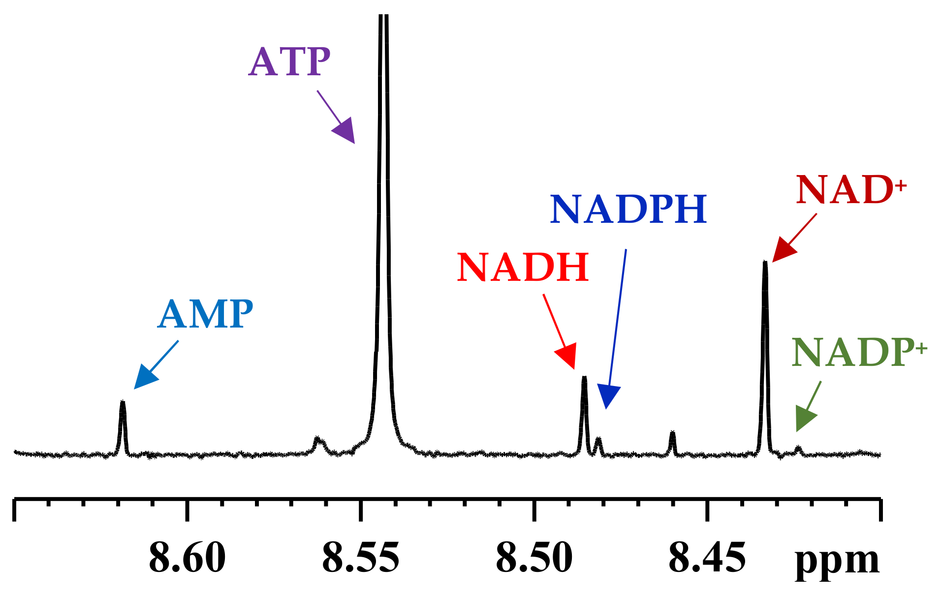 Metabolites 08 00032 g002