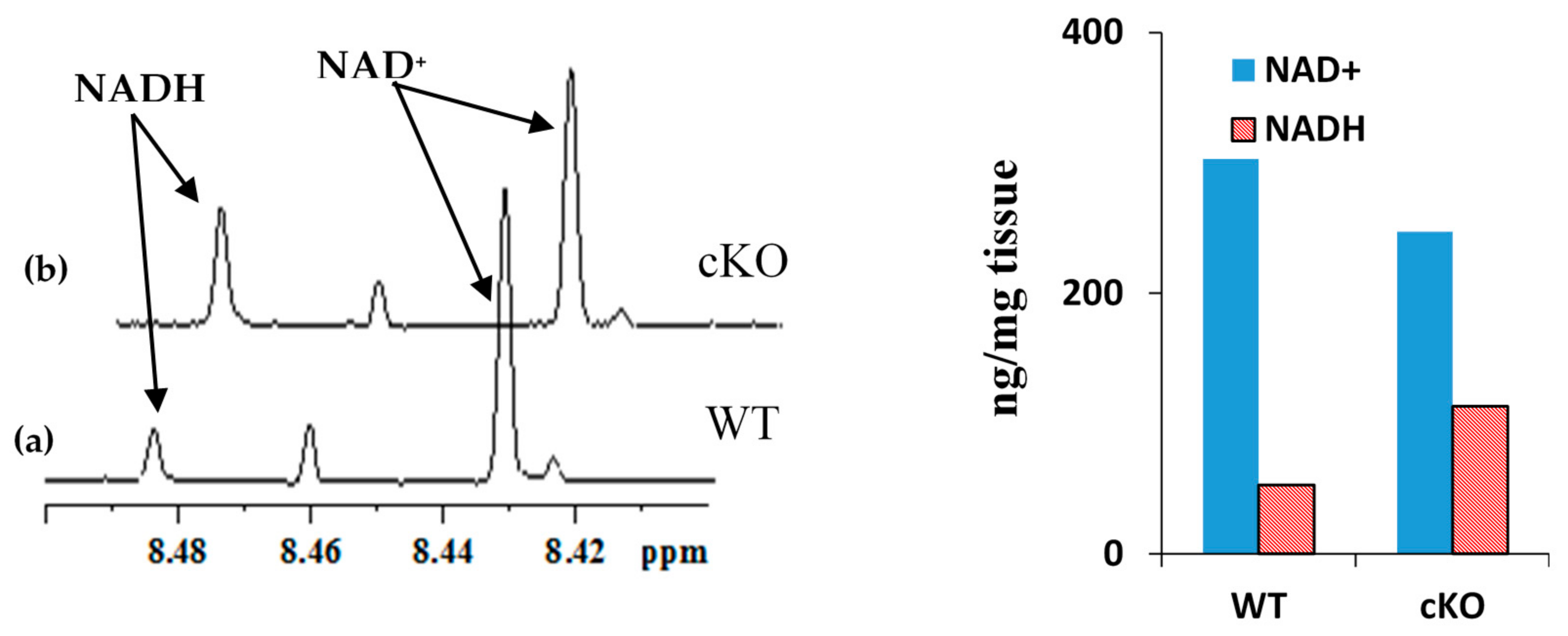 Metabolites 08 00032 g005