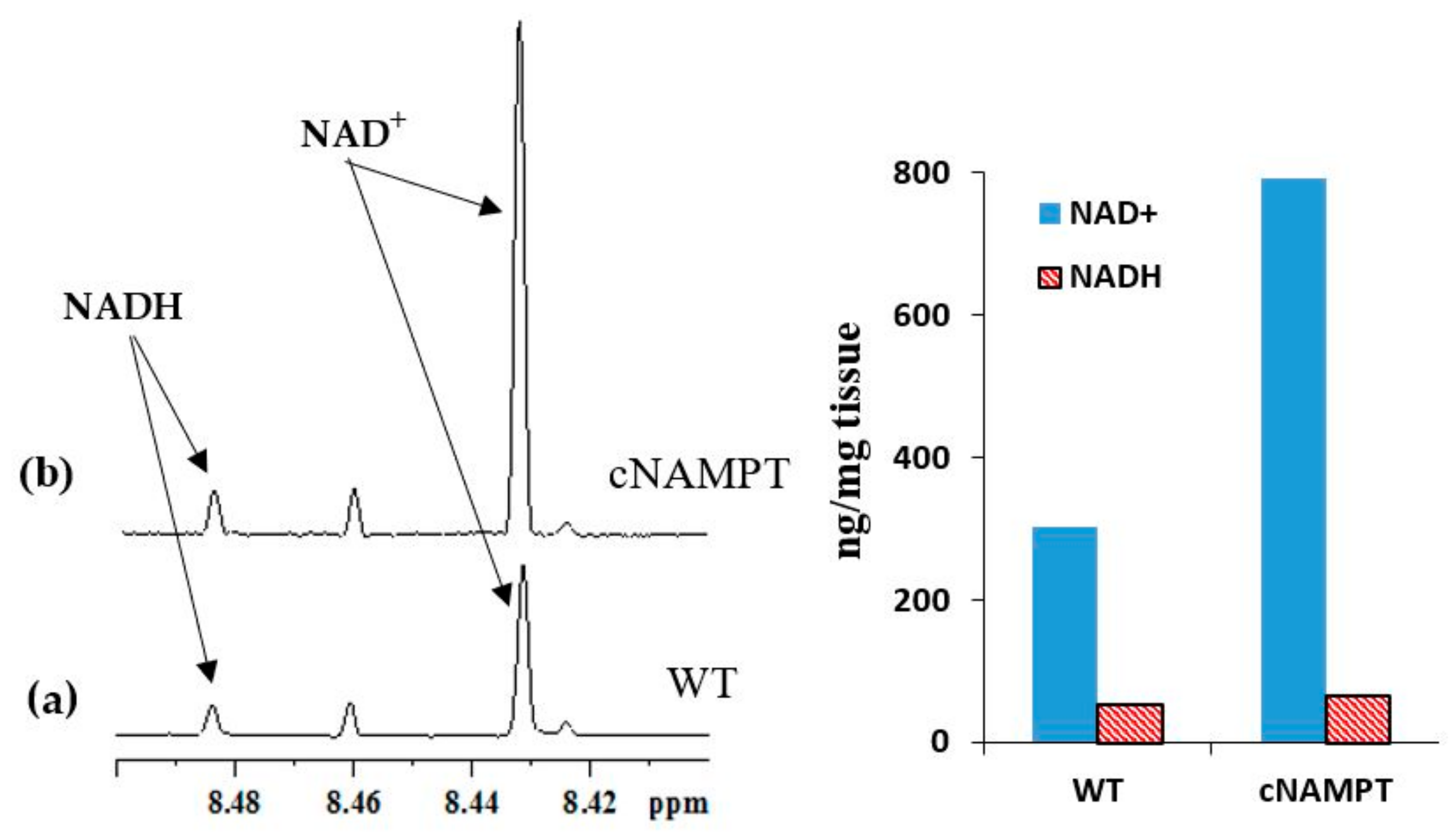 Metabolites 08 00032 g006