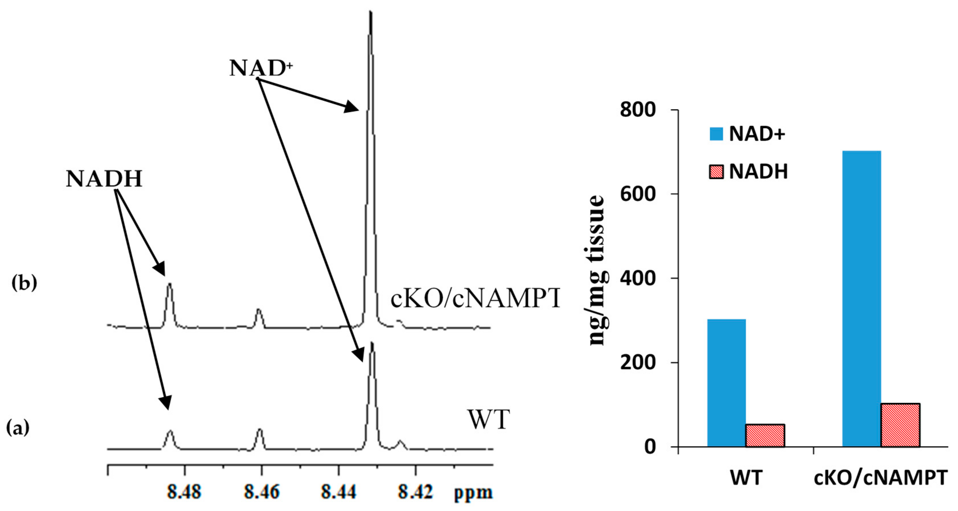 Metabolites 08 00032 g007