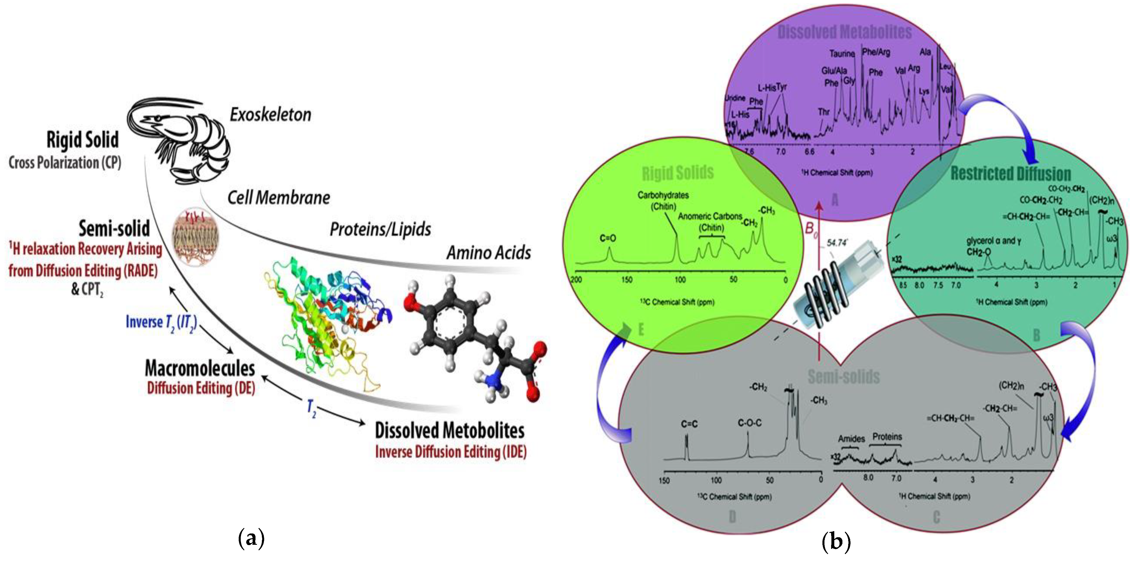 Metabolites 08 00035 g004