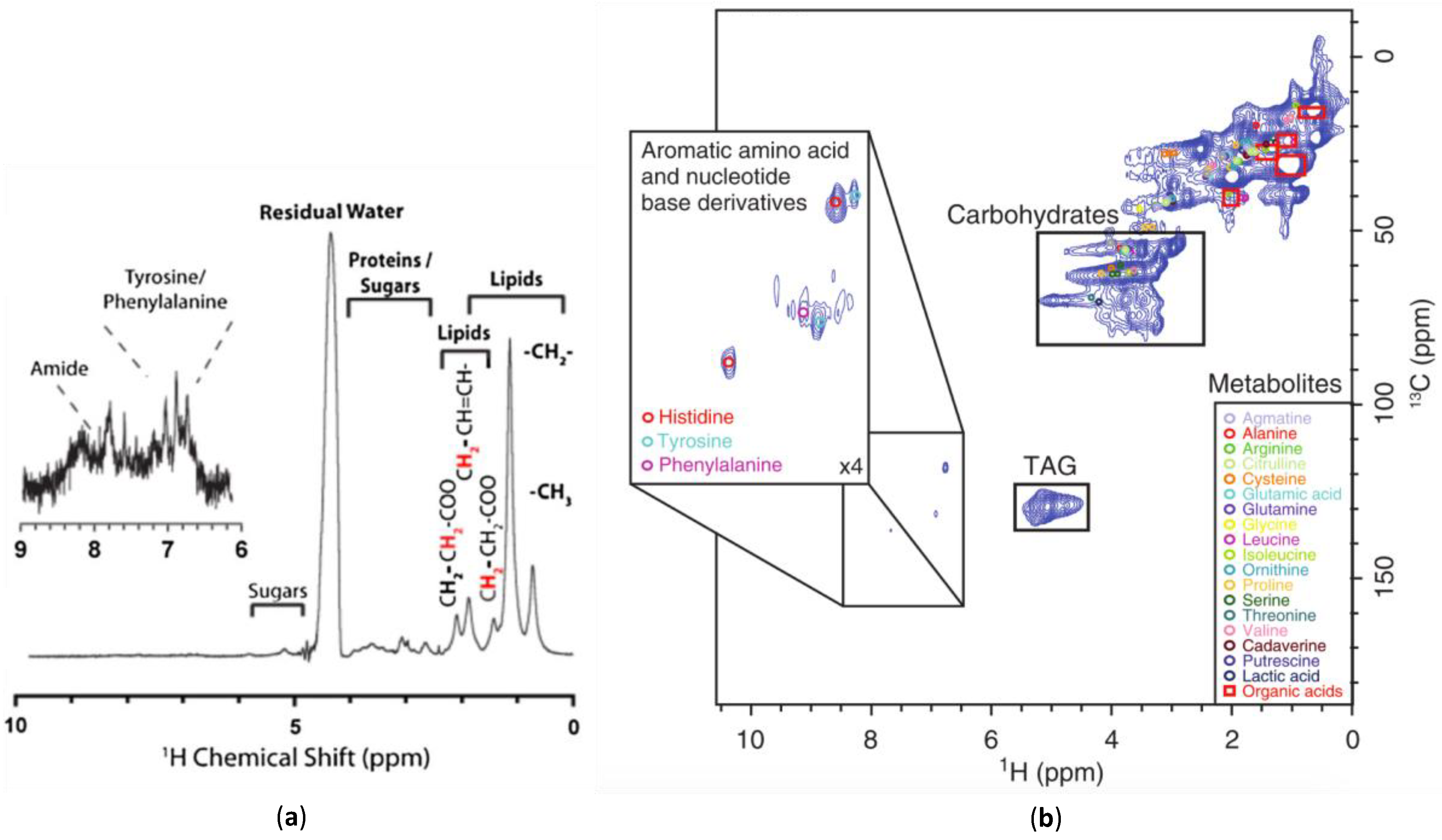 Metabolites 08 00035 g005