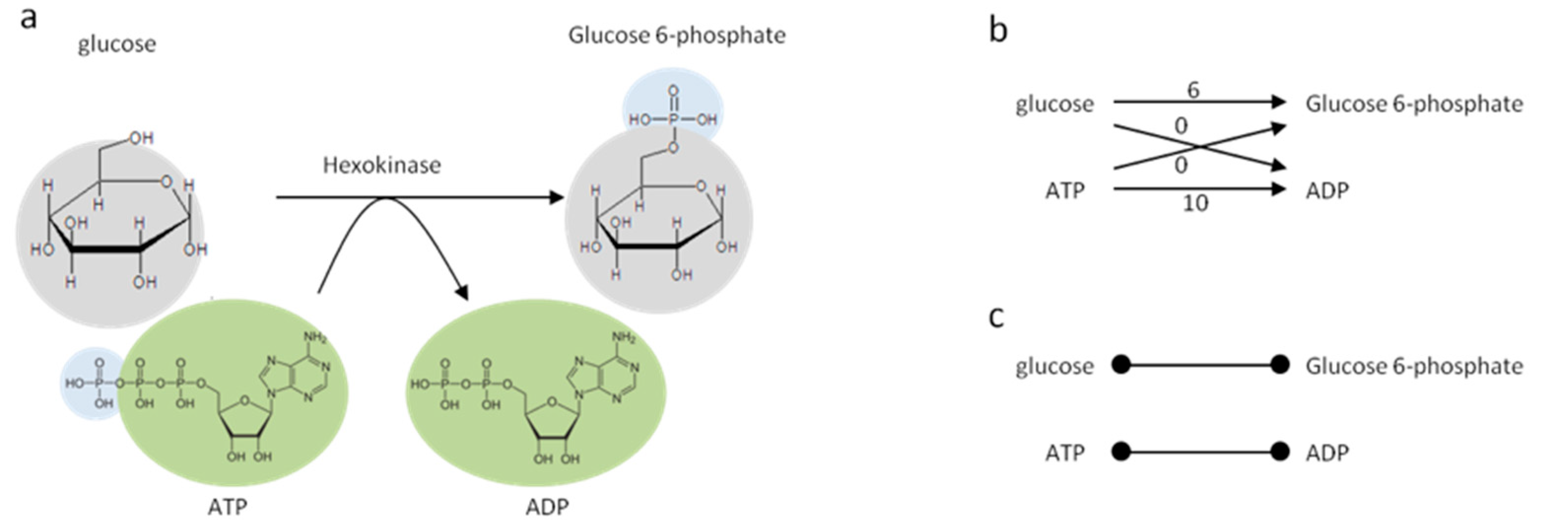 Metabolites 08 00051 g001