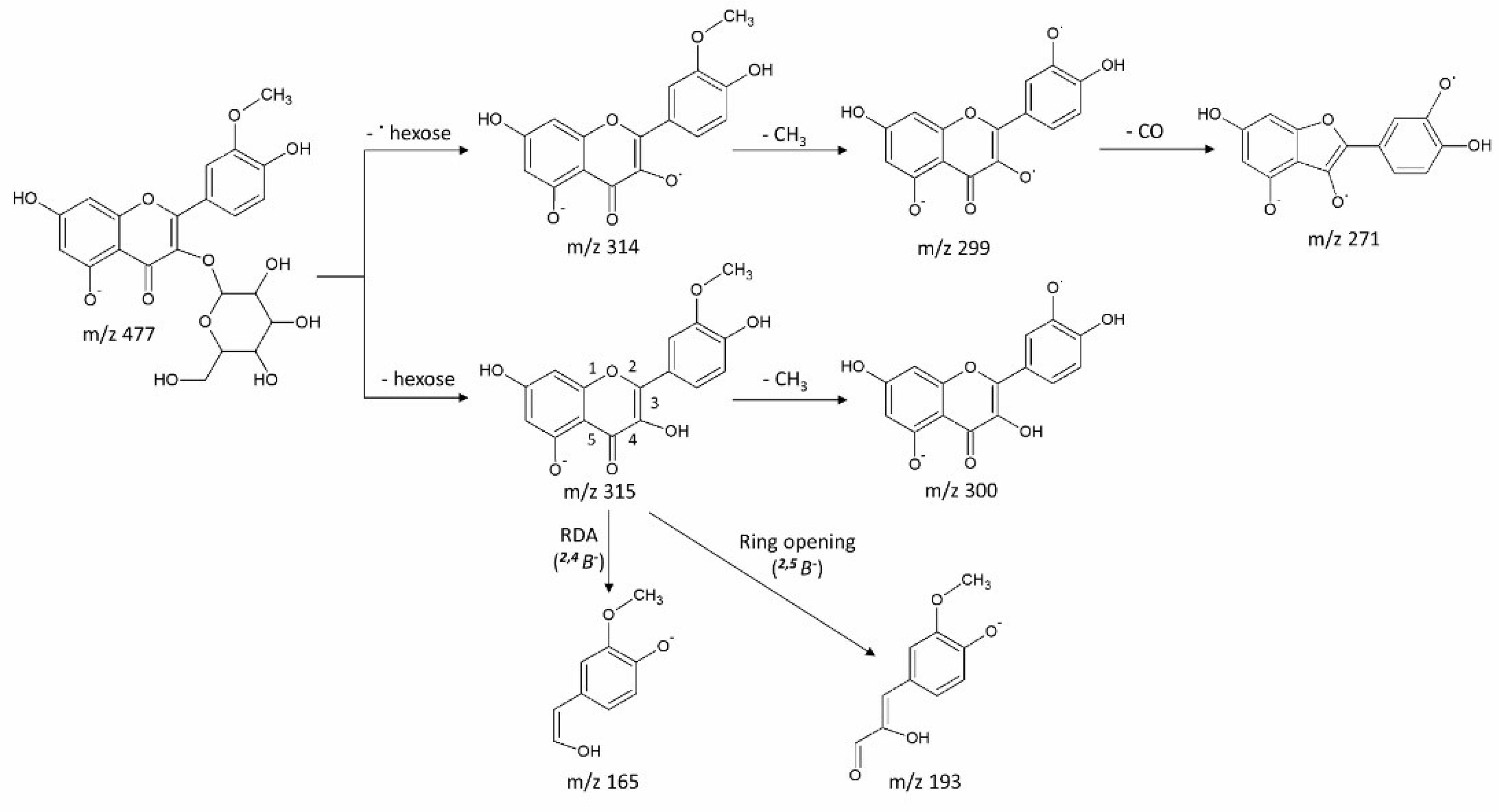 Metabolites 08 00056 g004