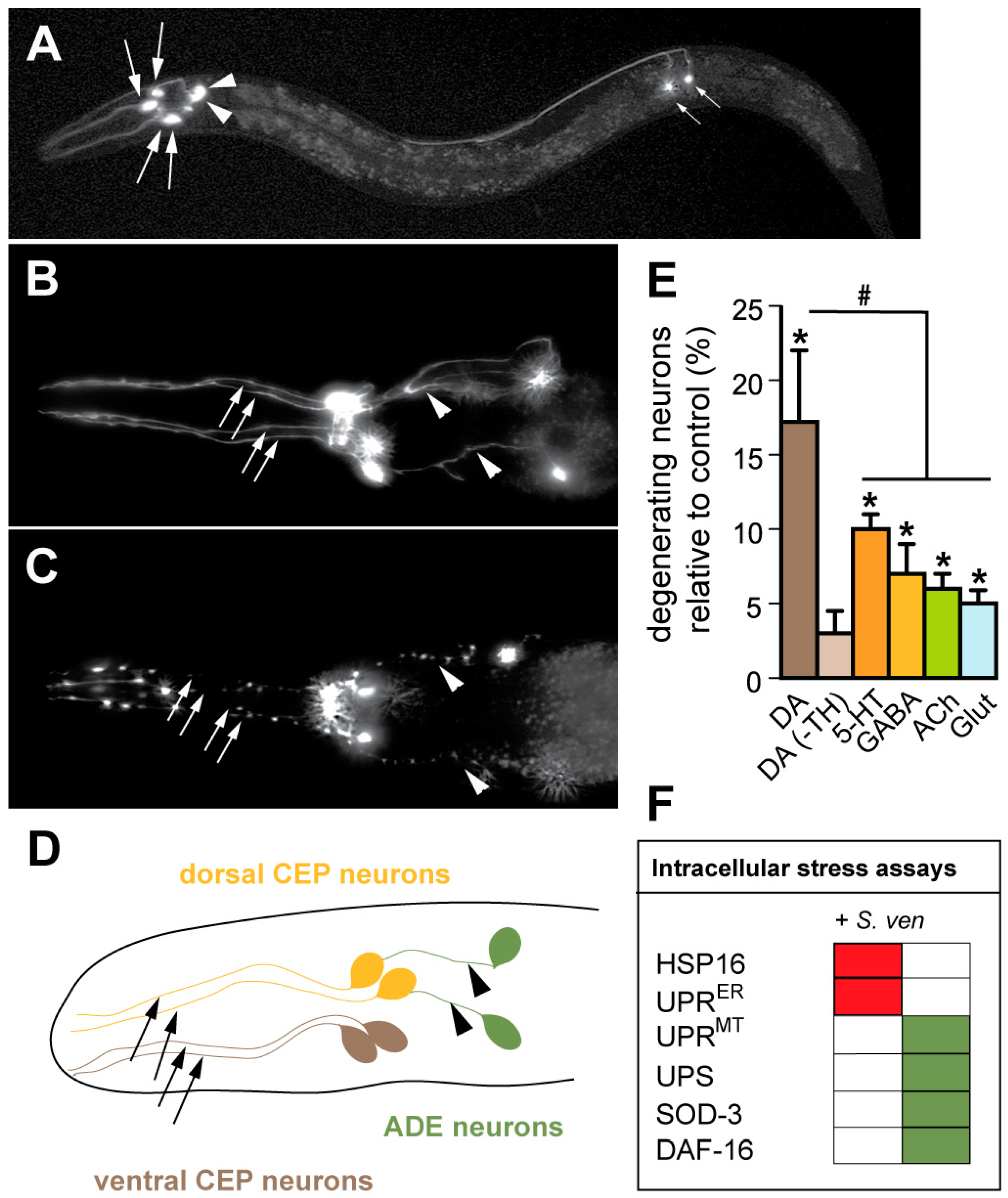 Metabolites 08 00070 g001