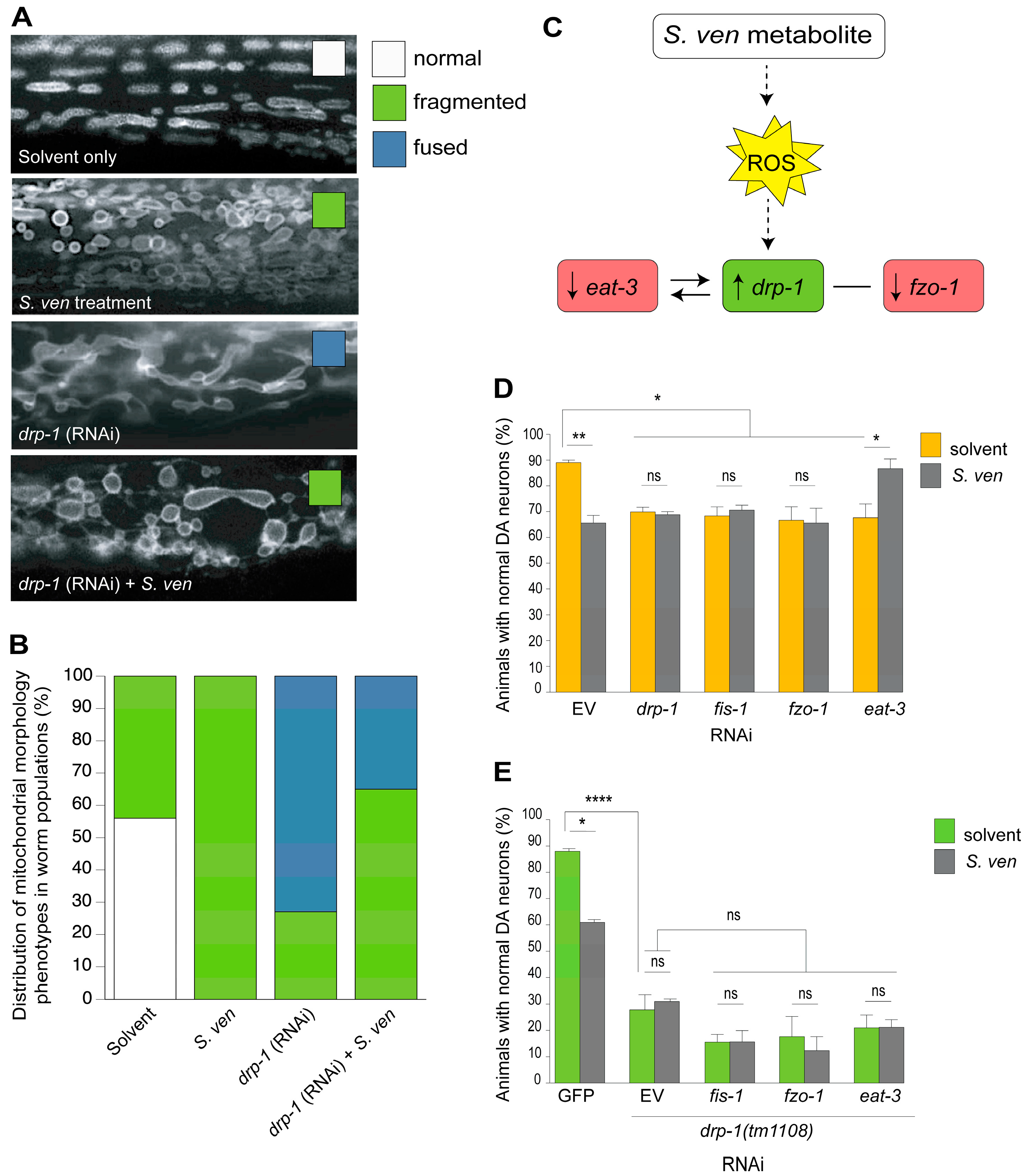 Metabolites 08 00070 g004