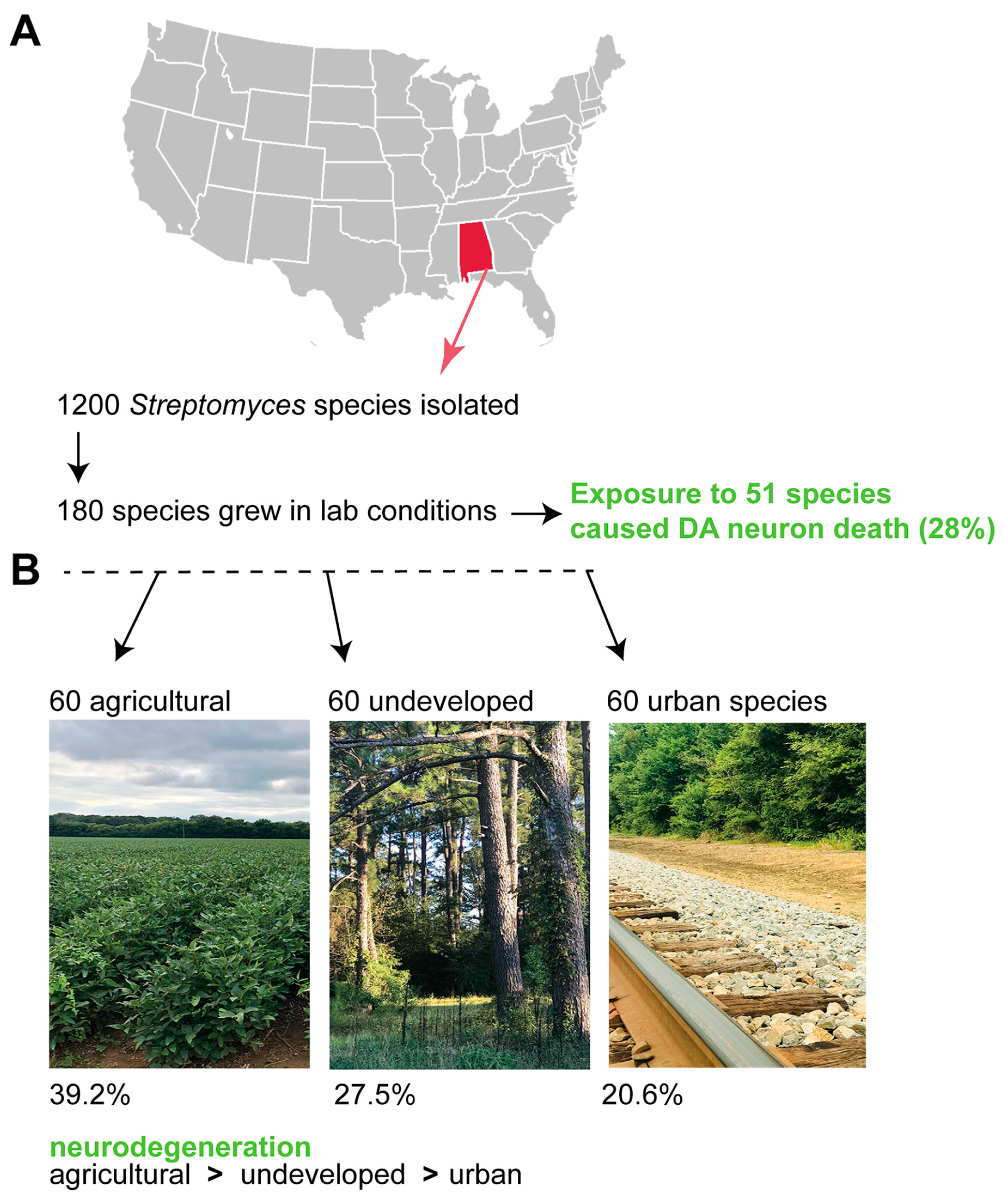 Metabolites 08 00070 g005