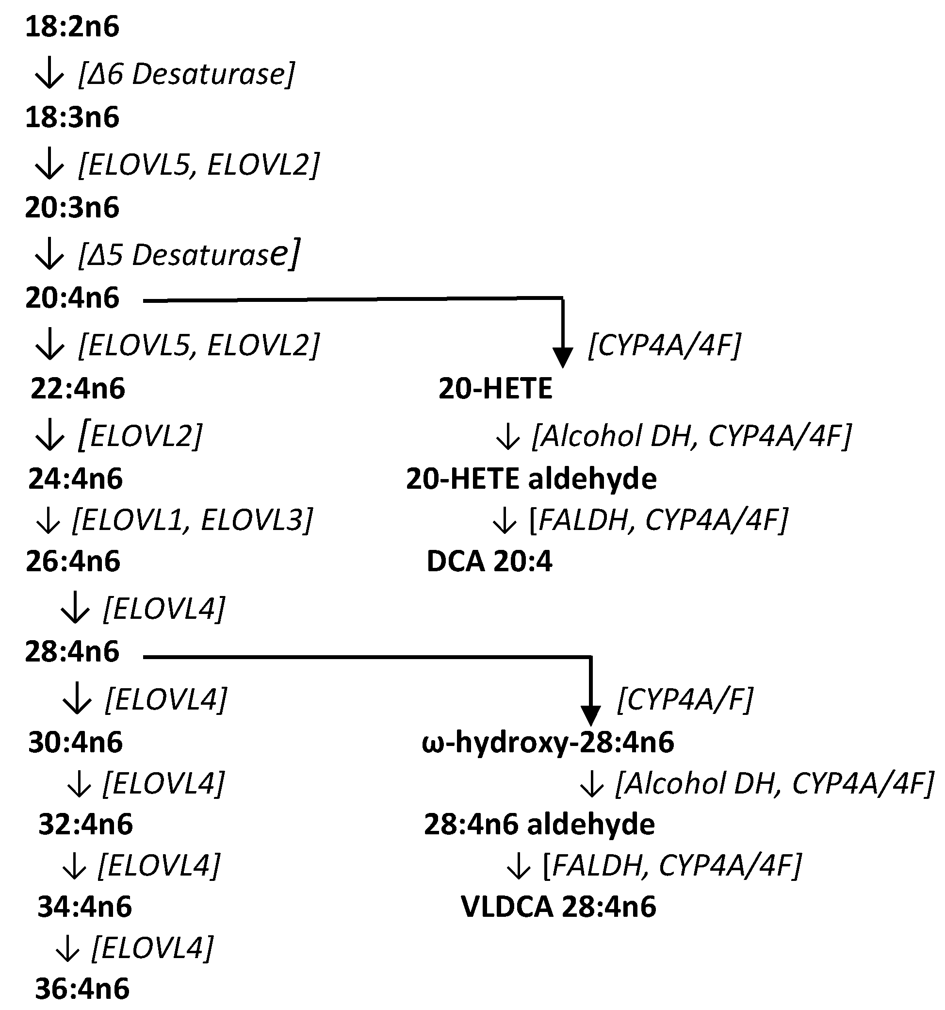 Metabolites 08 00076 g003