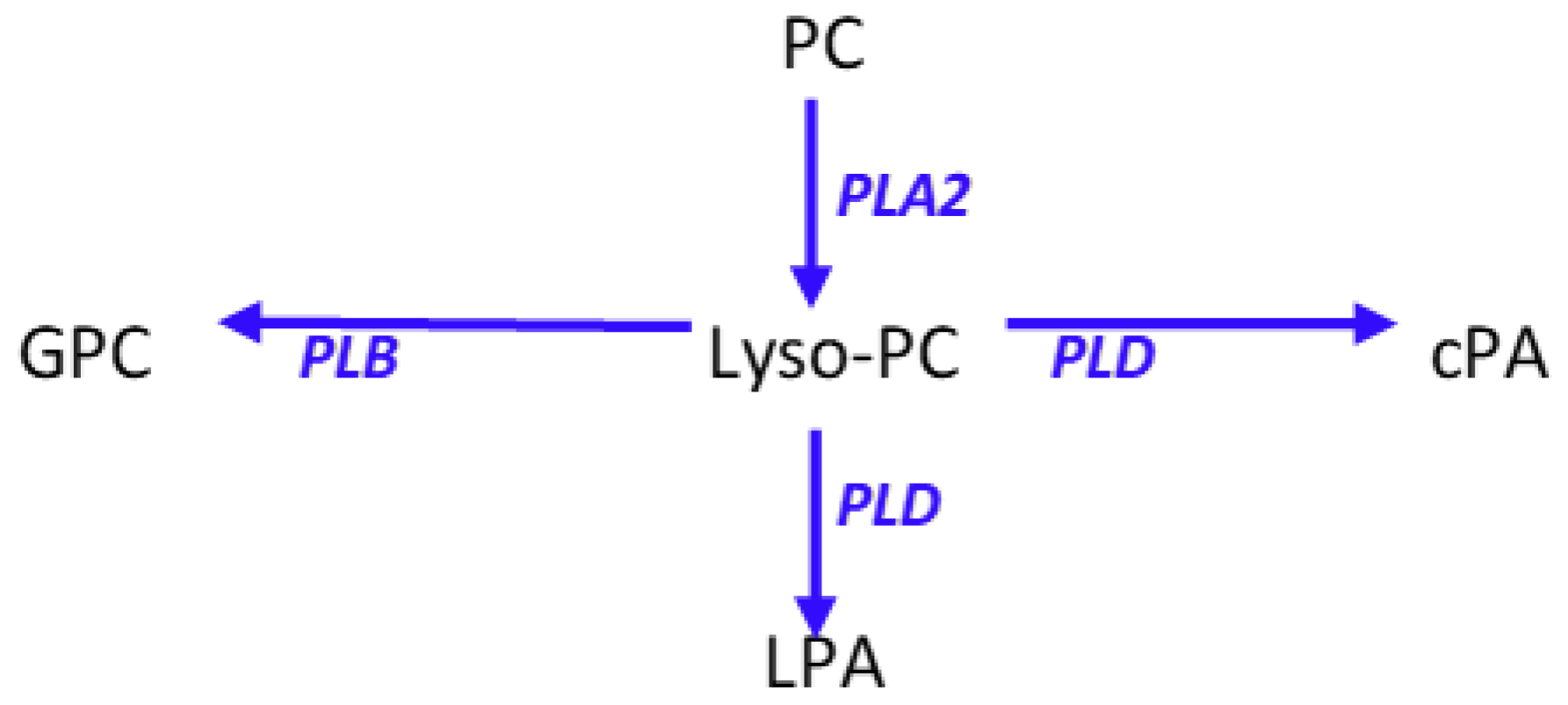 Metabolites 08 00081 g005 Metabolites 08 00081 g005