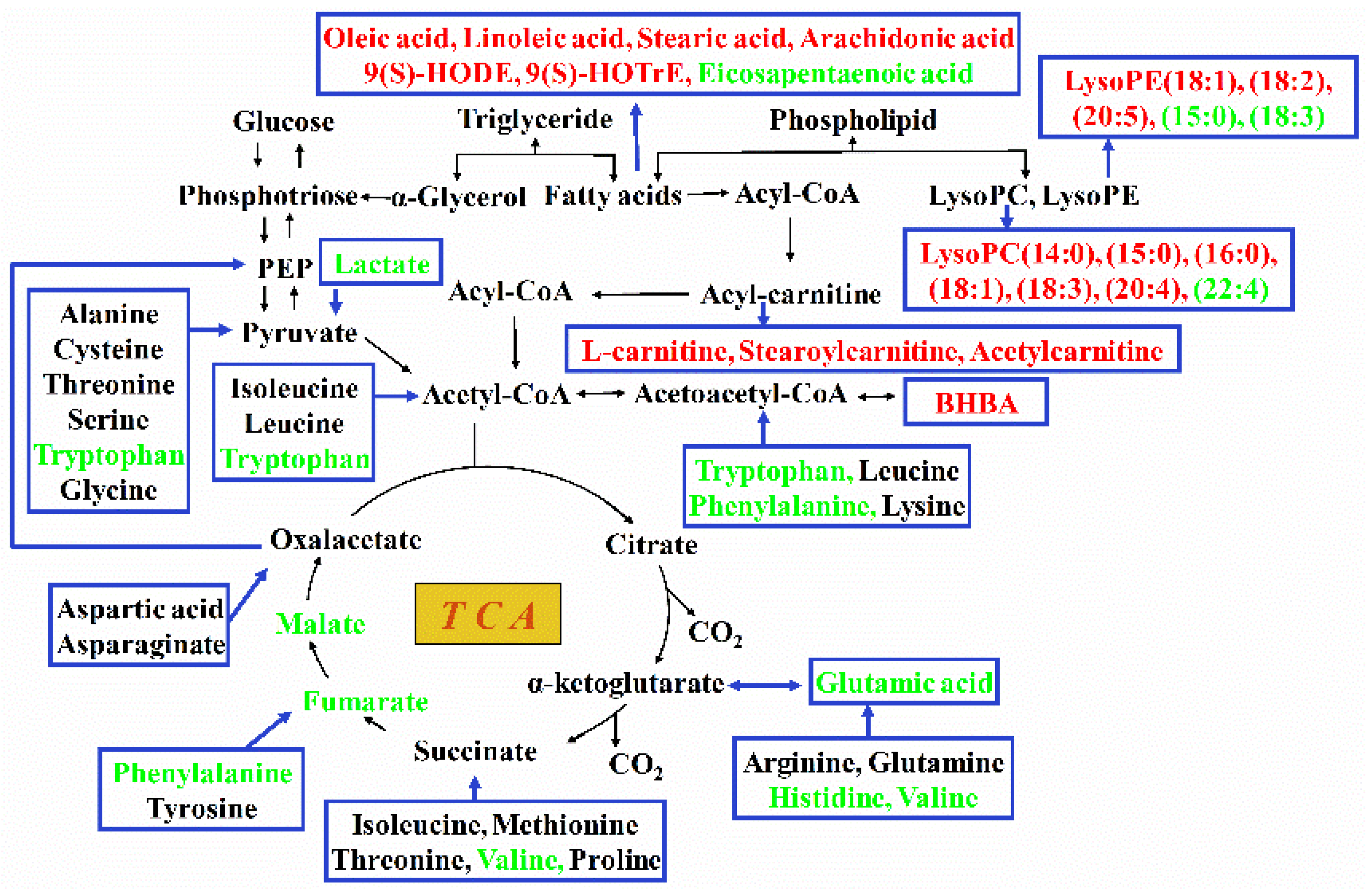 Metabolites 08 00085 g007