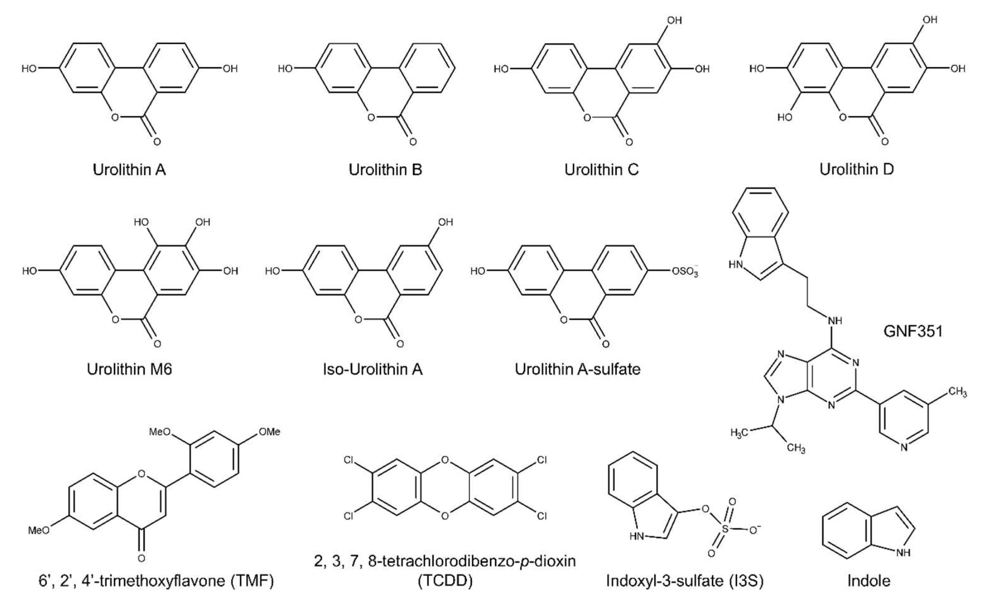 Metabolites 08 00086 g001
