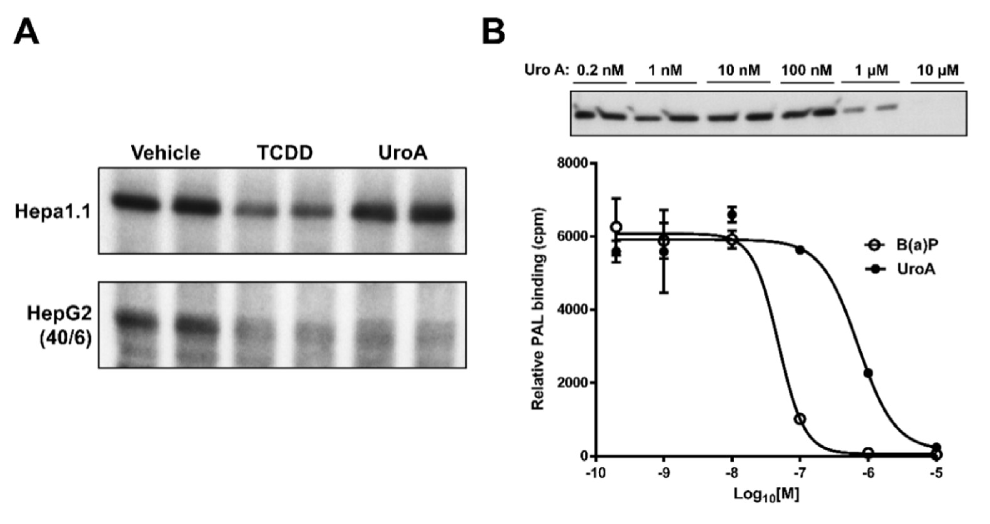 Metabolites 08 00086 g008