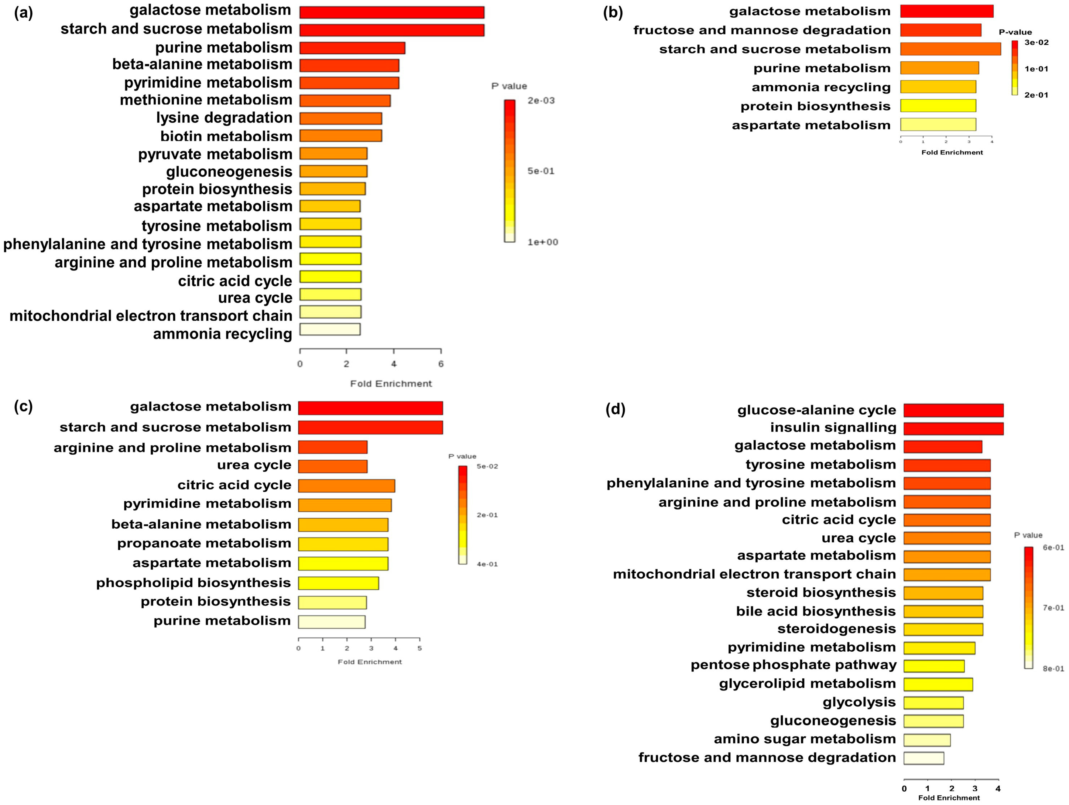Metabolites 08 00089 g005