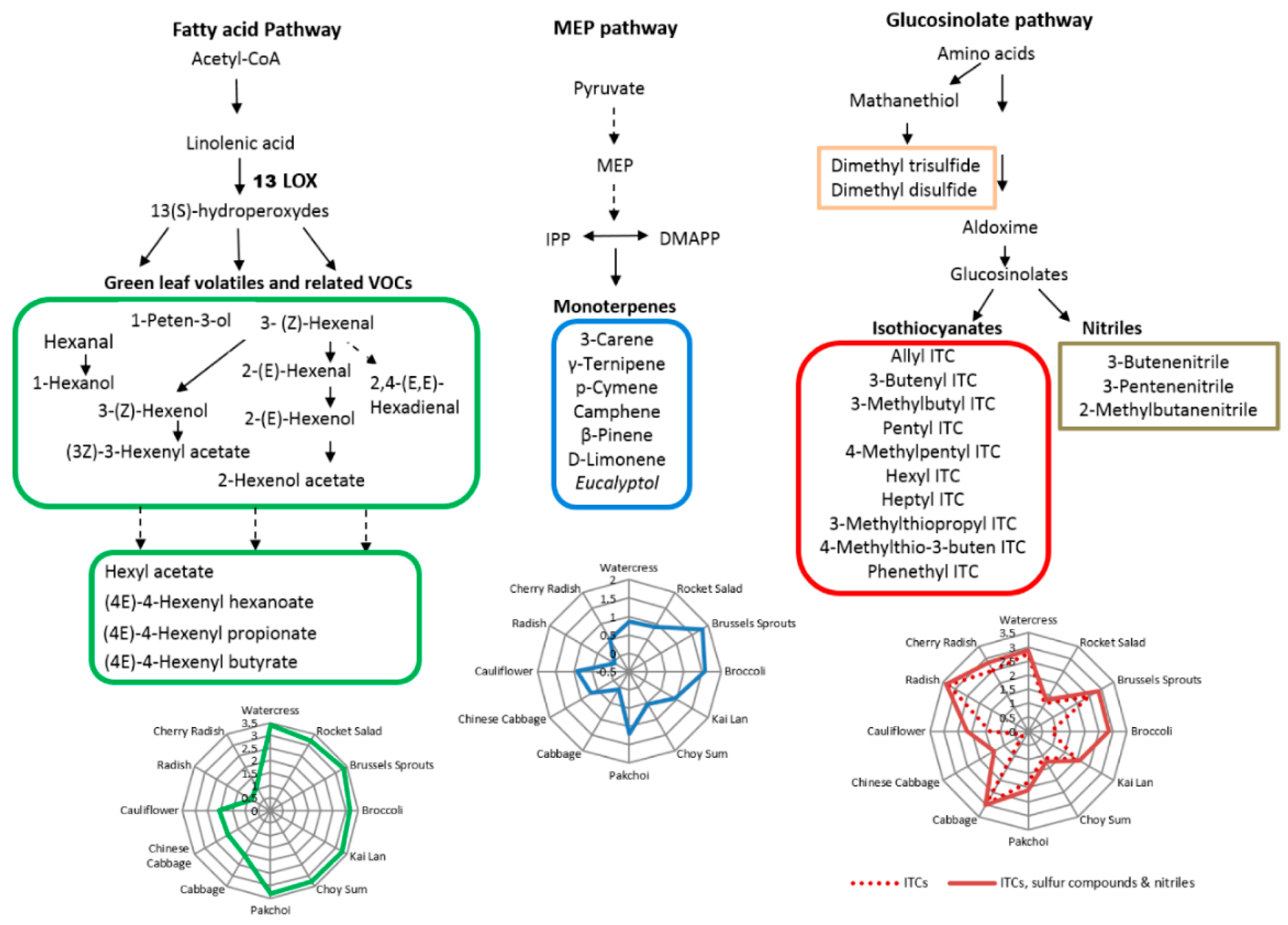 Metabolites 08 00094 g003
