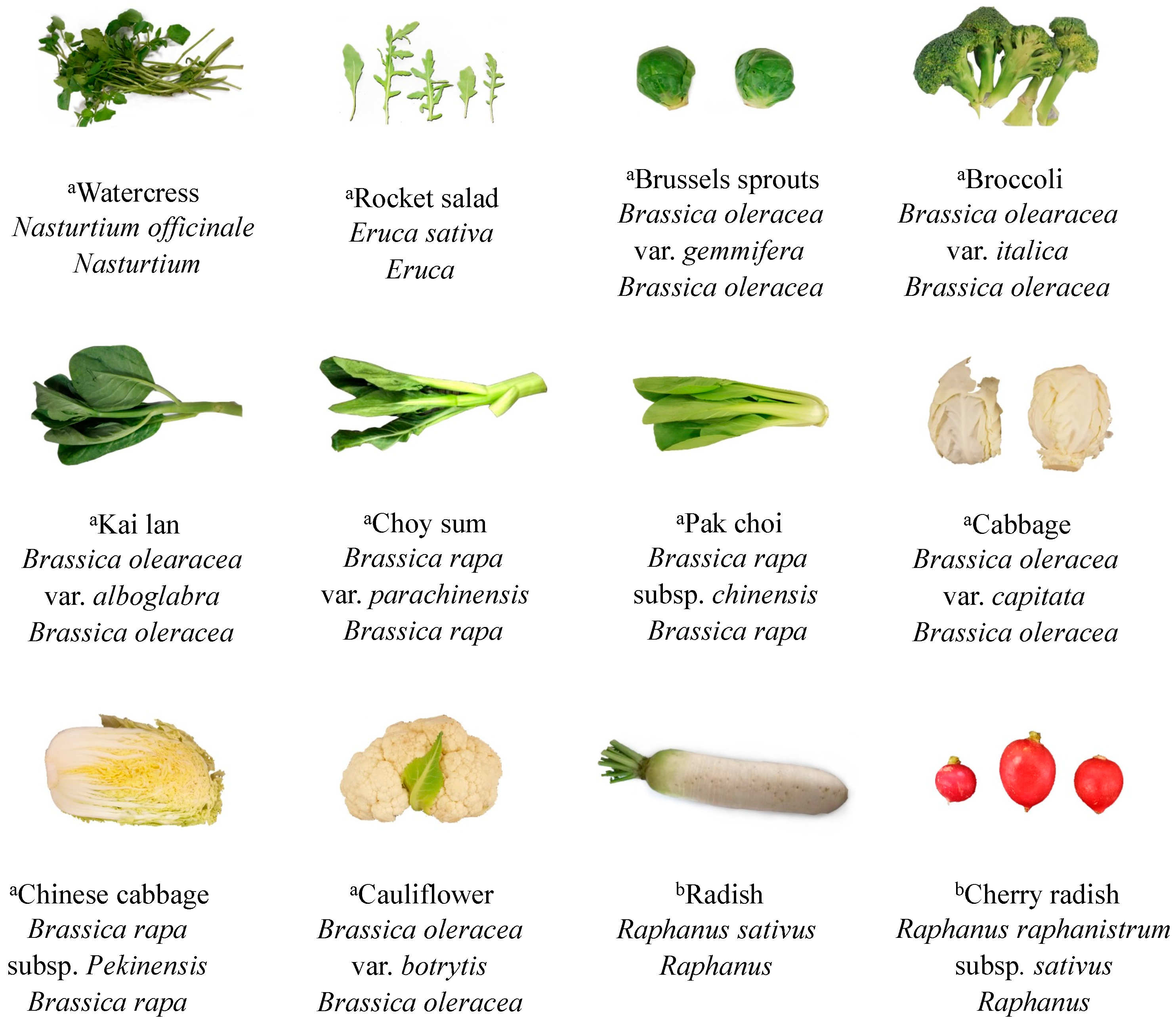 Metabolites 08 00094 g006