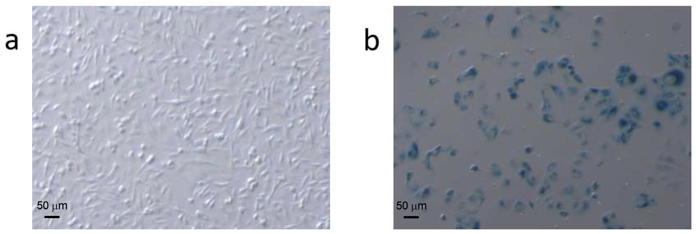 Metabolites 08 00095 g001 Metabolites 08 00095 g001