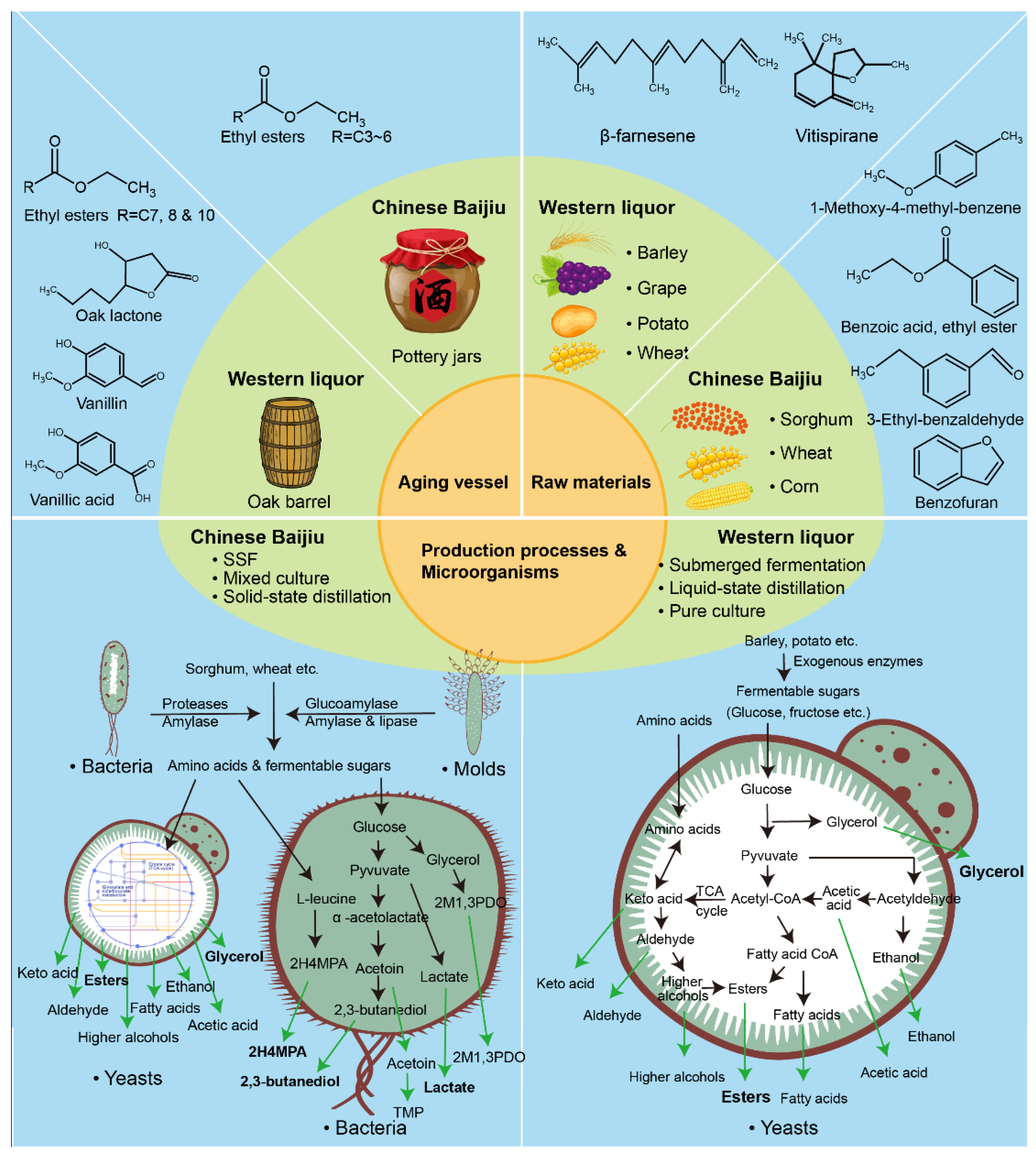 Metabolites 09 00002 g005