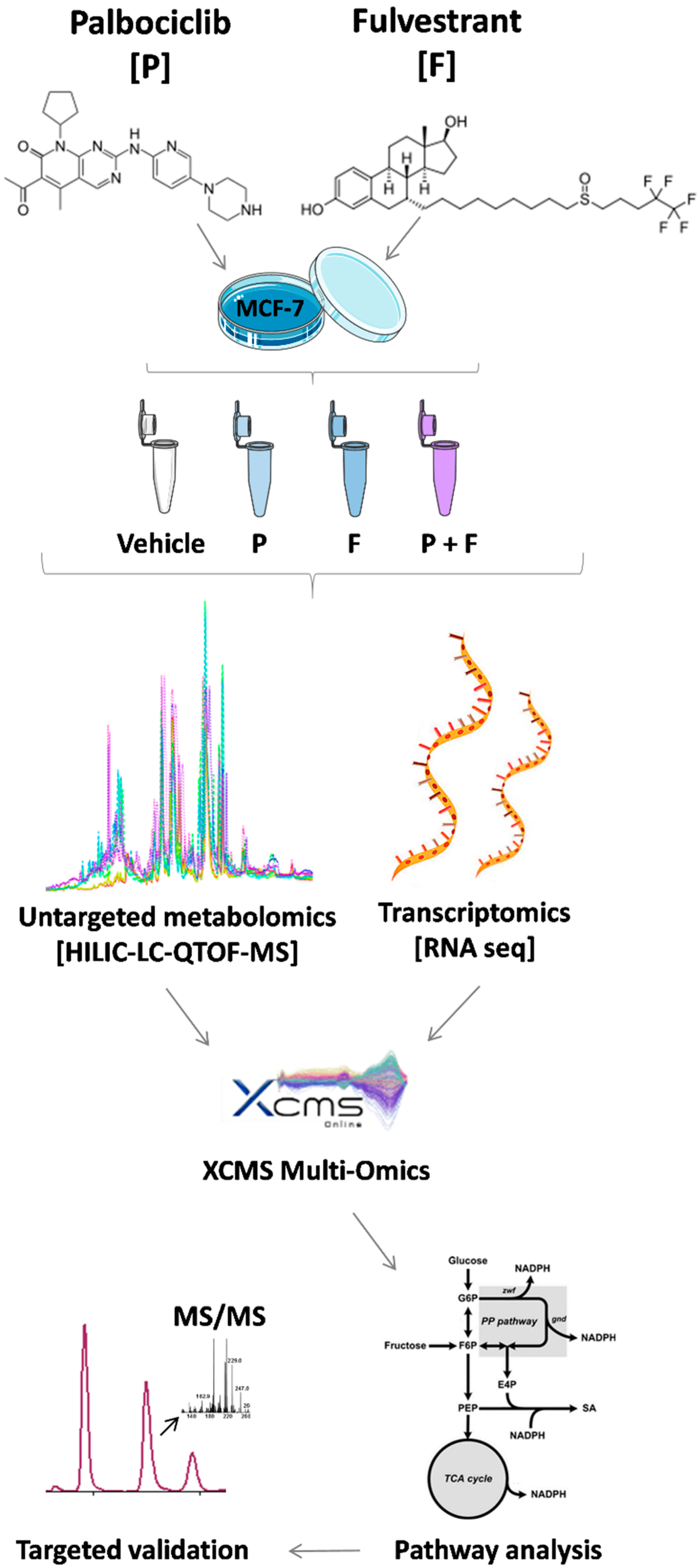 Metabolites 09 00007 g001