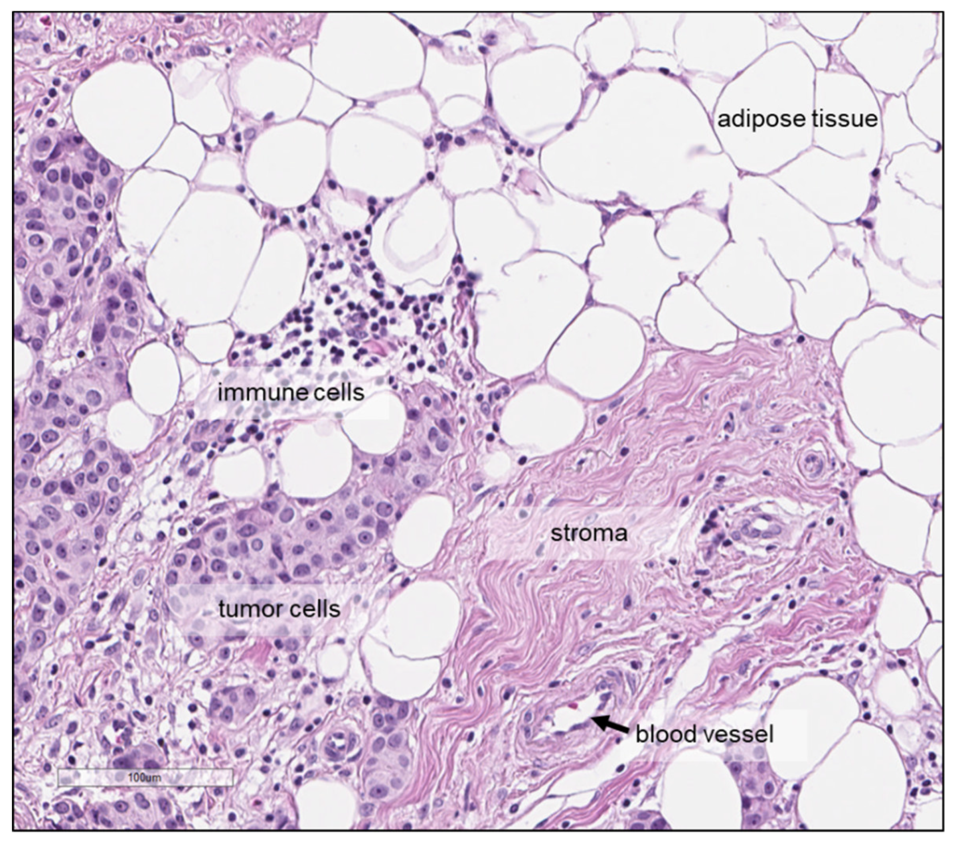 Metabolites 09 00019 g006