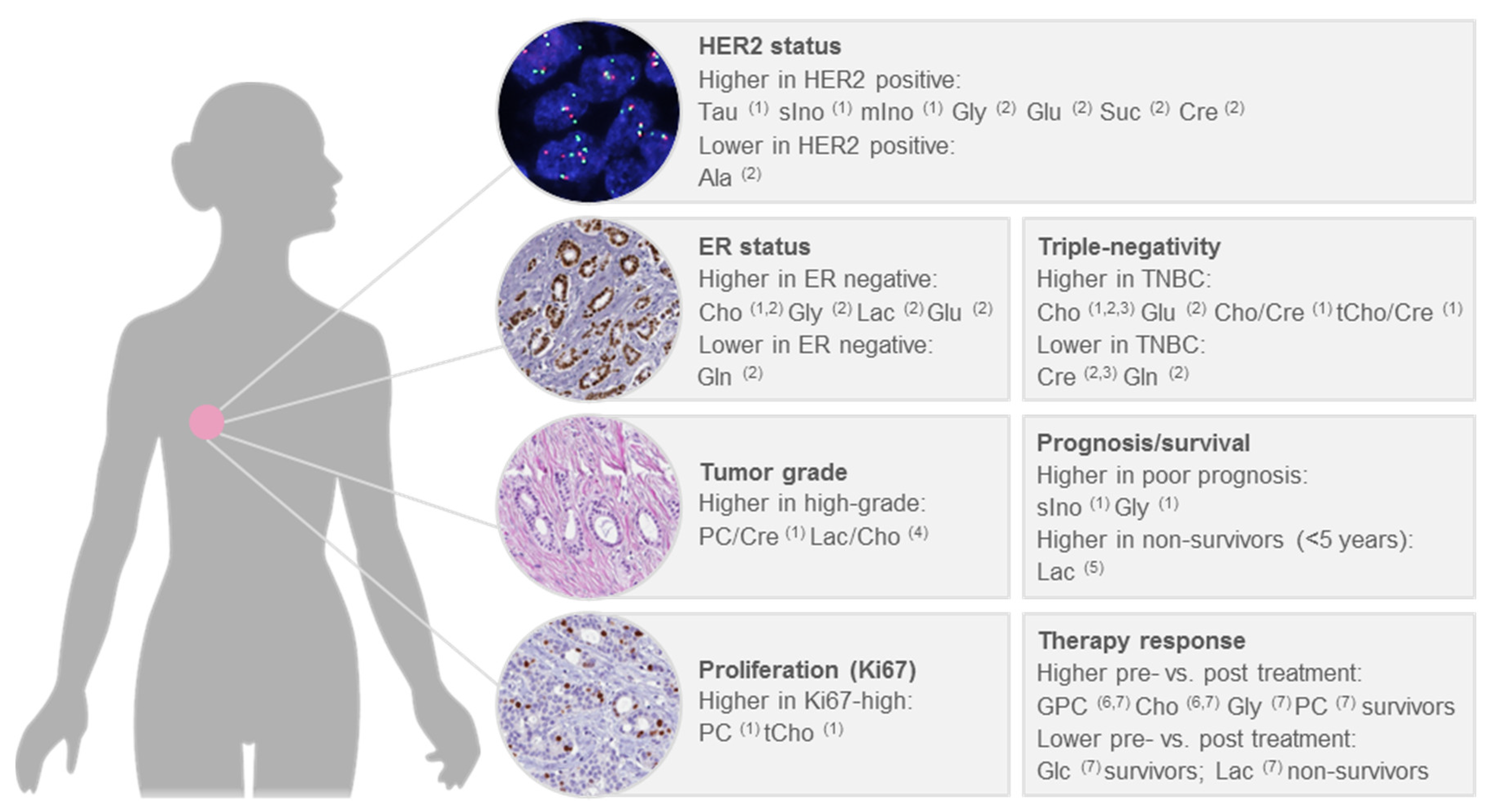 Metabolites 09 00019 g007