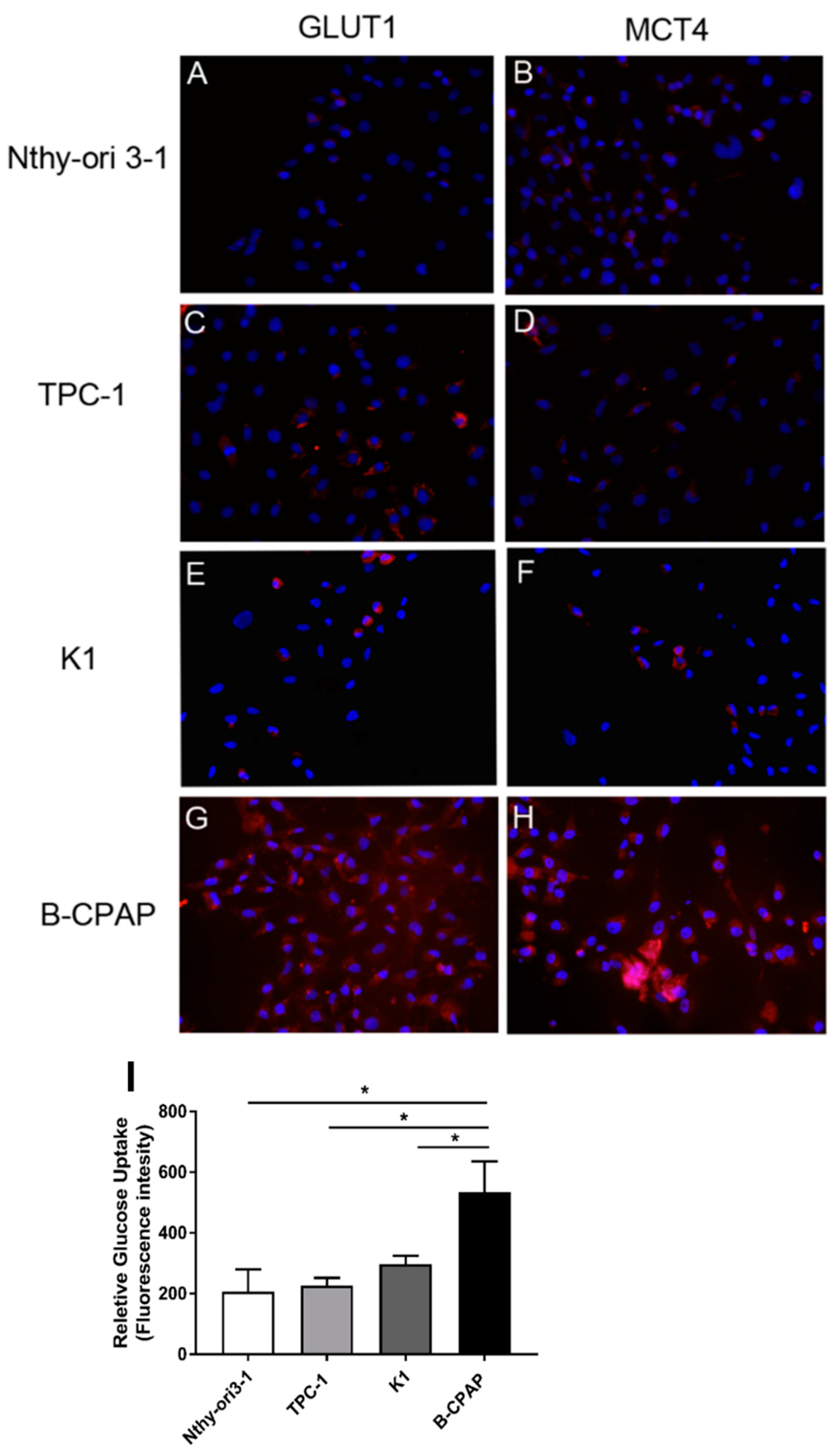 Metabolites 09 00023 g003