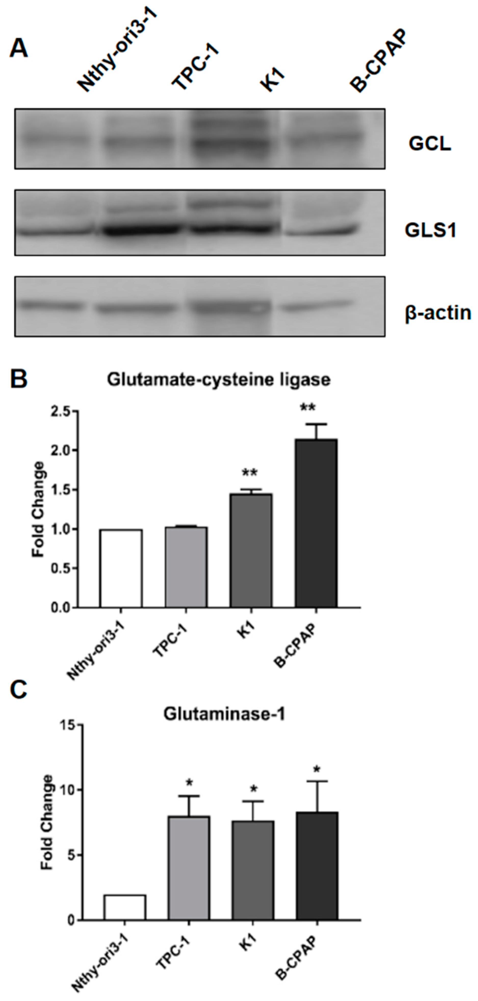 Metabolites 09 00023 g005