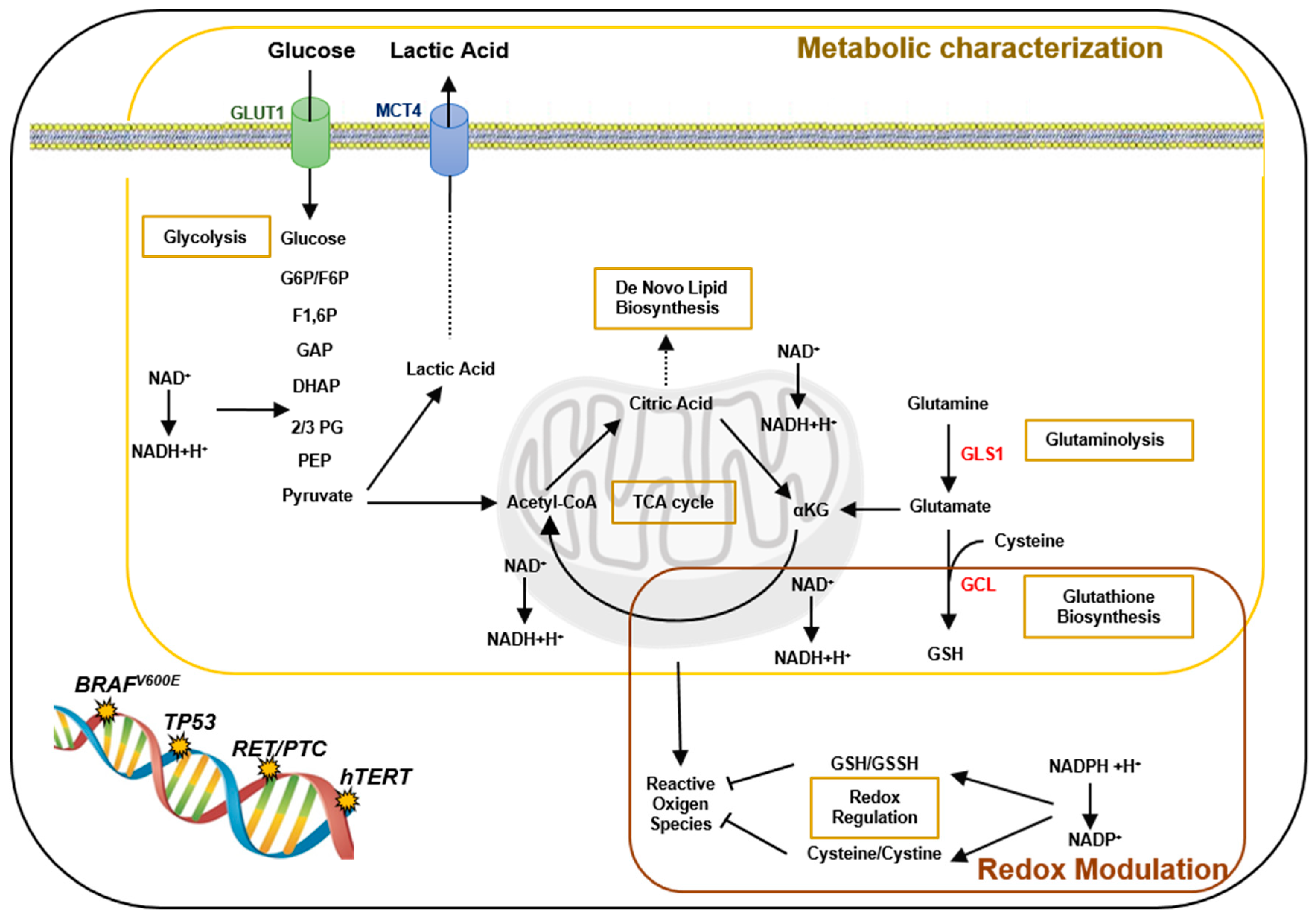Metabolites 09 00023 g006