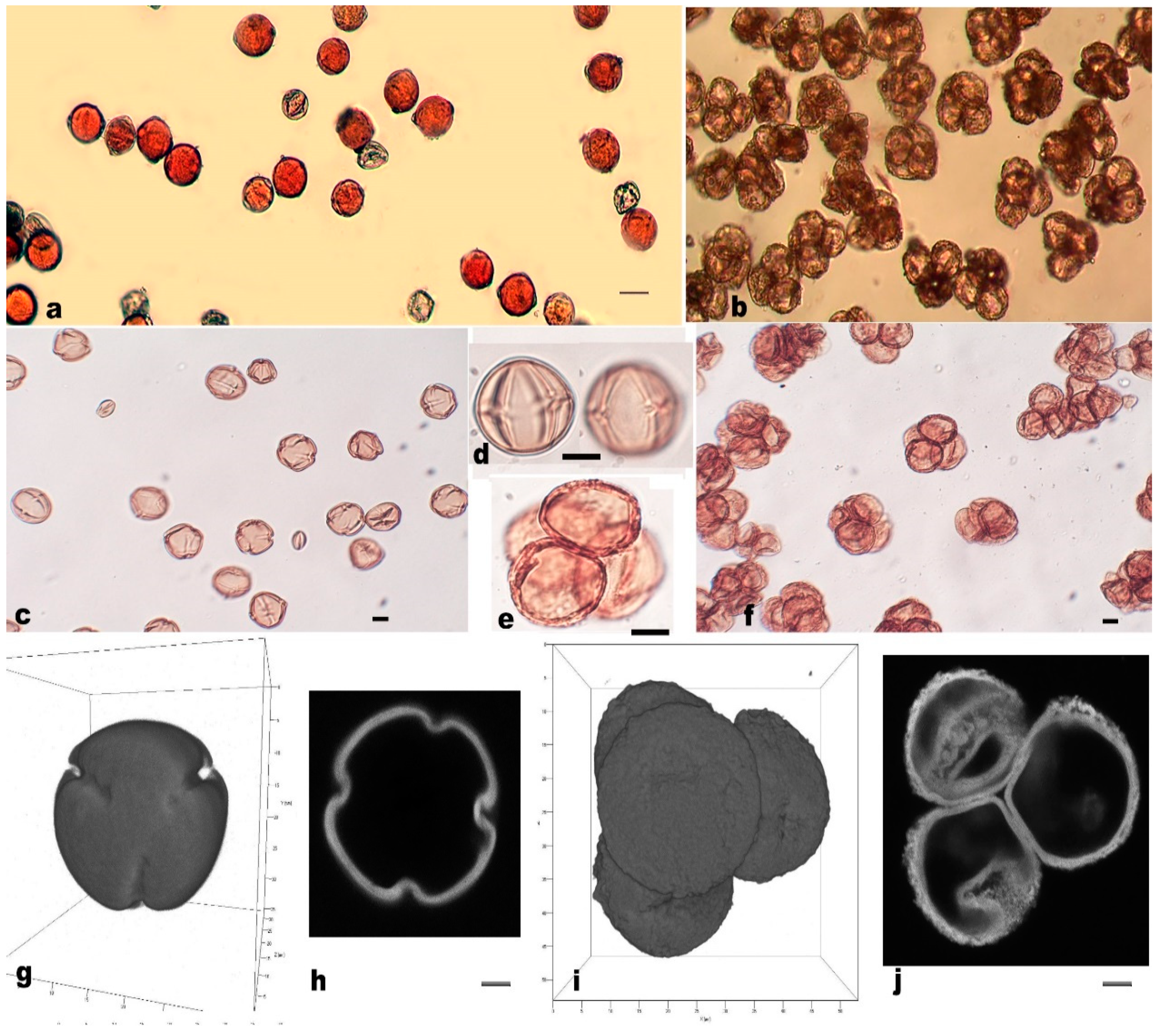 Metabolites 09 00024 g005
