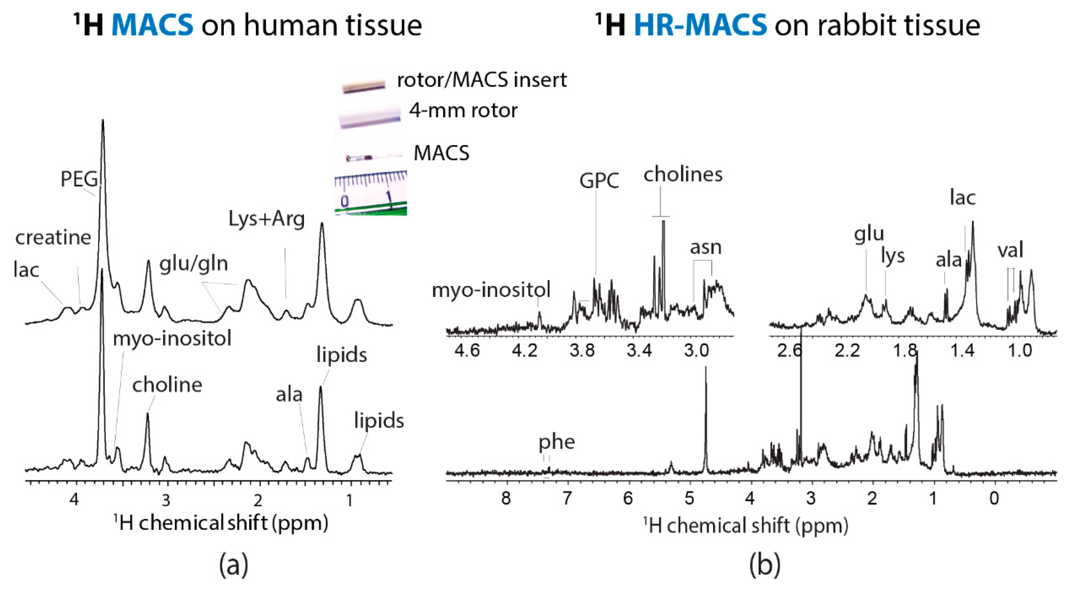 Metabolites 09 00029 g002