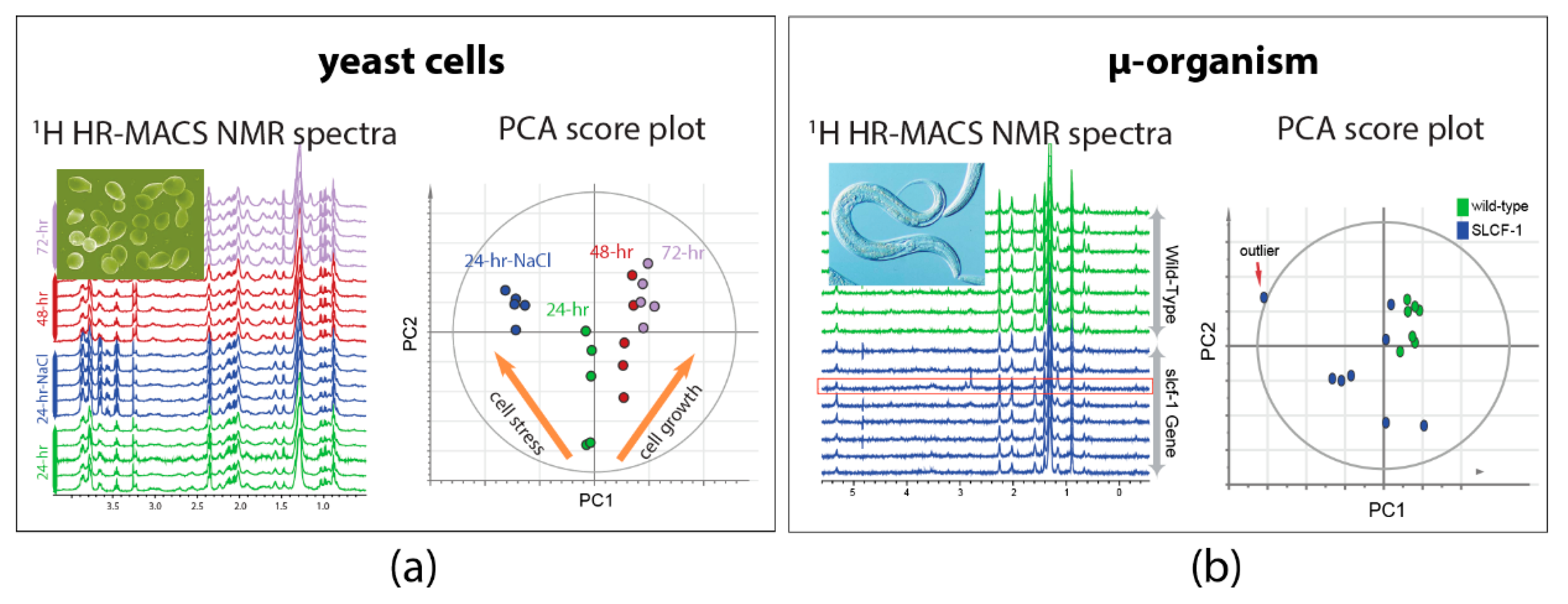 Metabolites 09 00029 g003