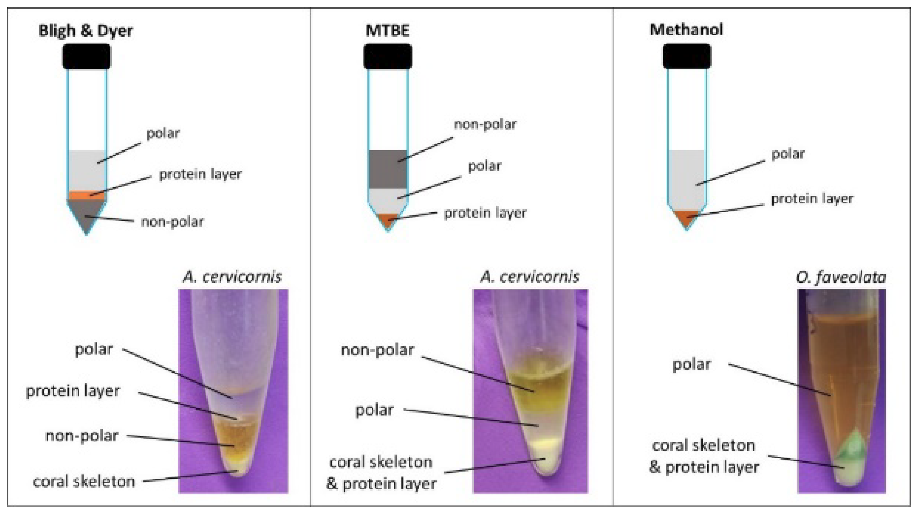 Metabolites 09 00032 g001