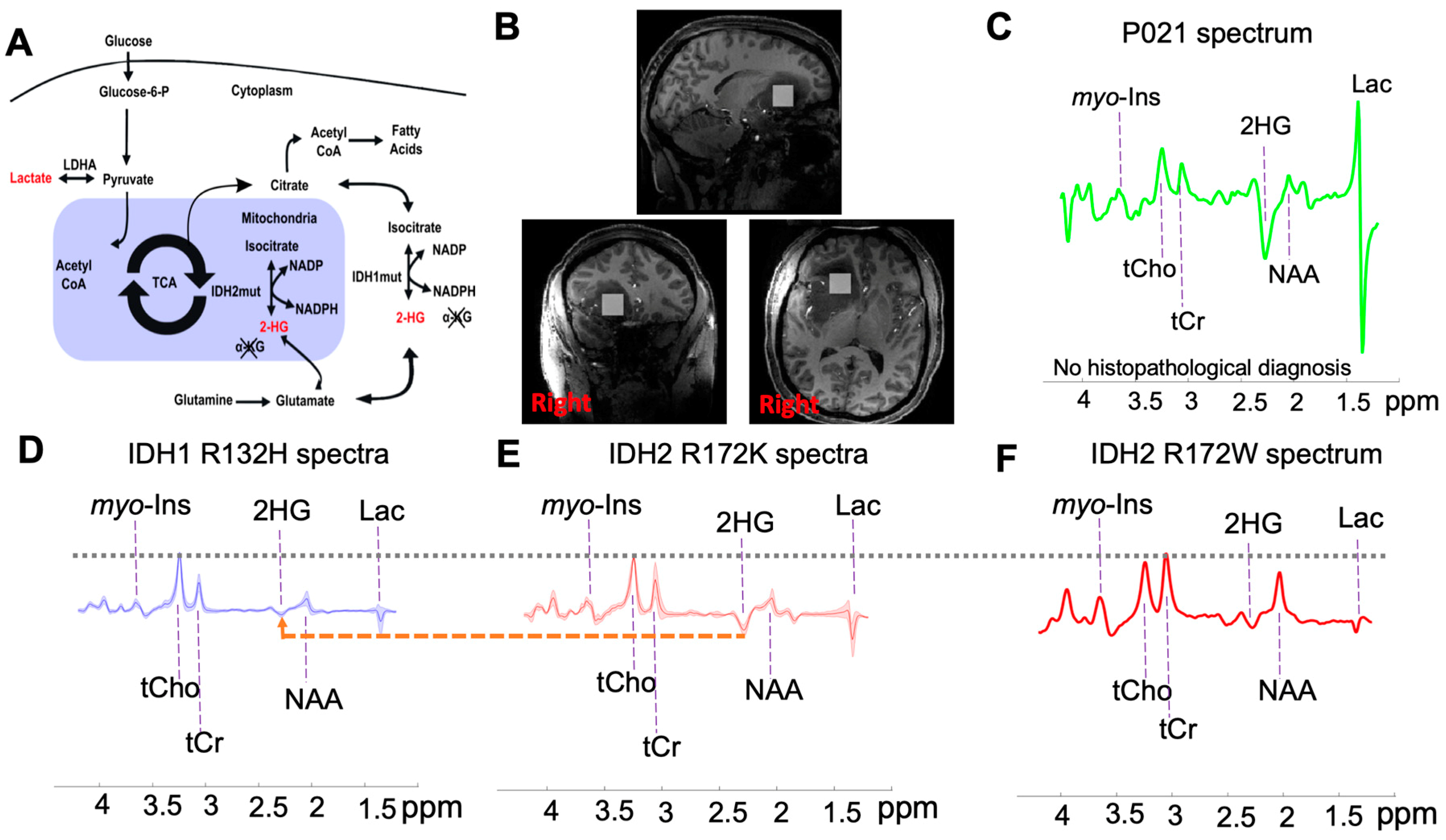 Metabolites 09 00035 g001