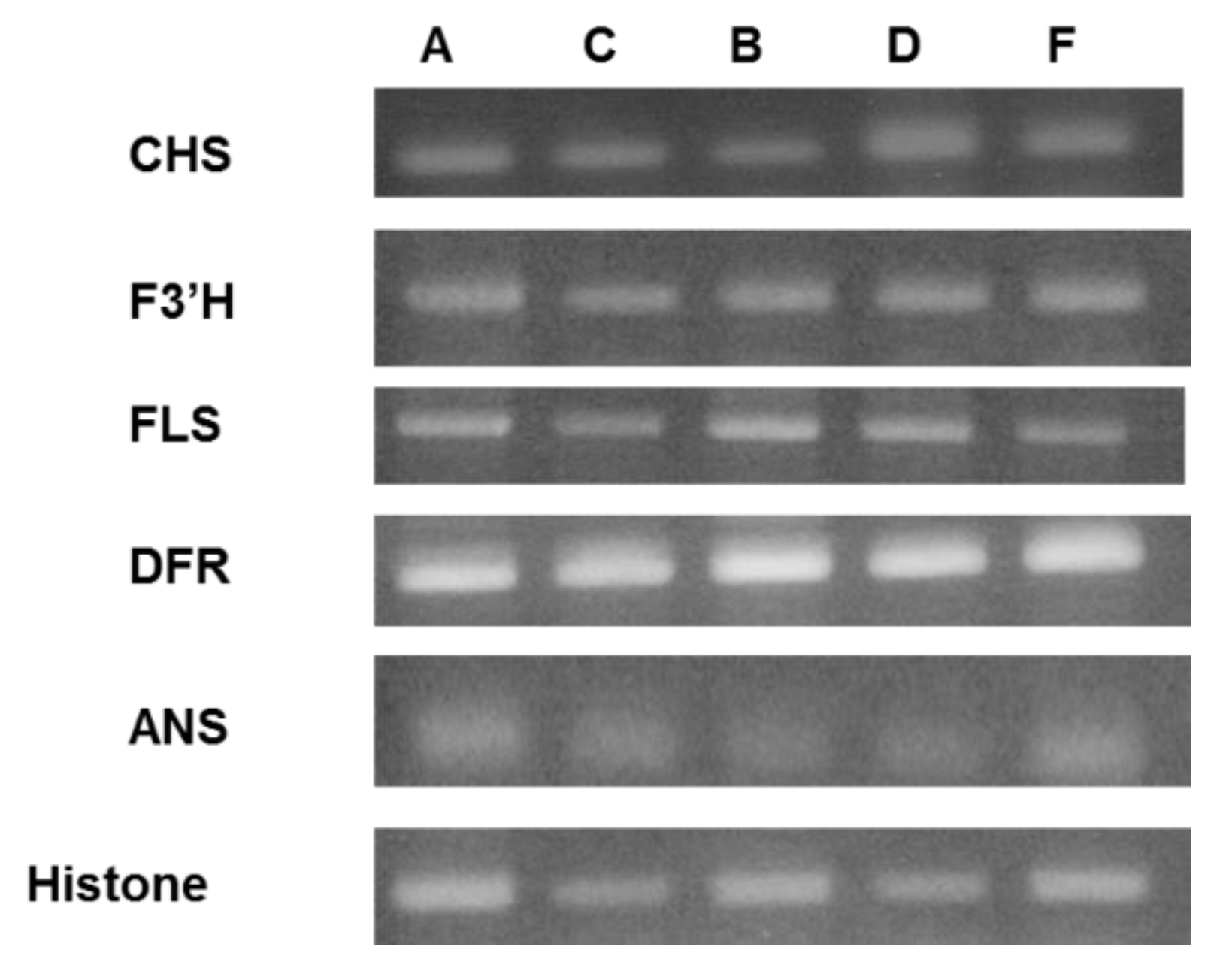 Metabolites 09 00056 g007