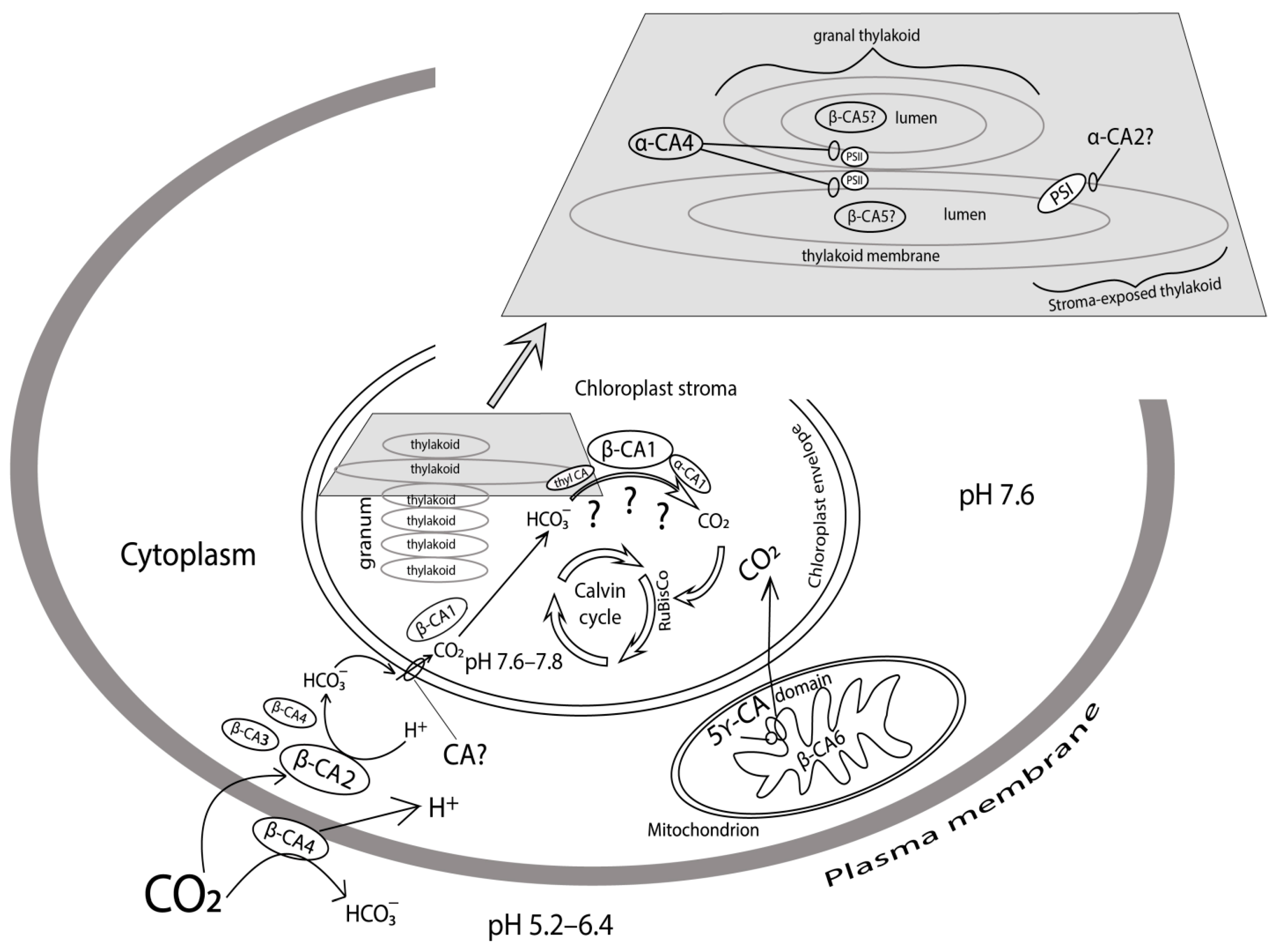 Metabolites 09 00073 g001