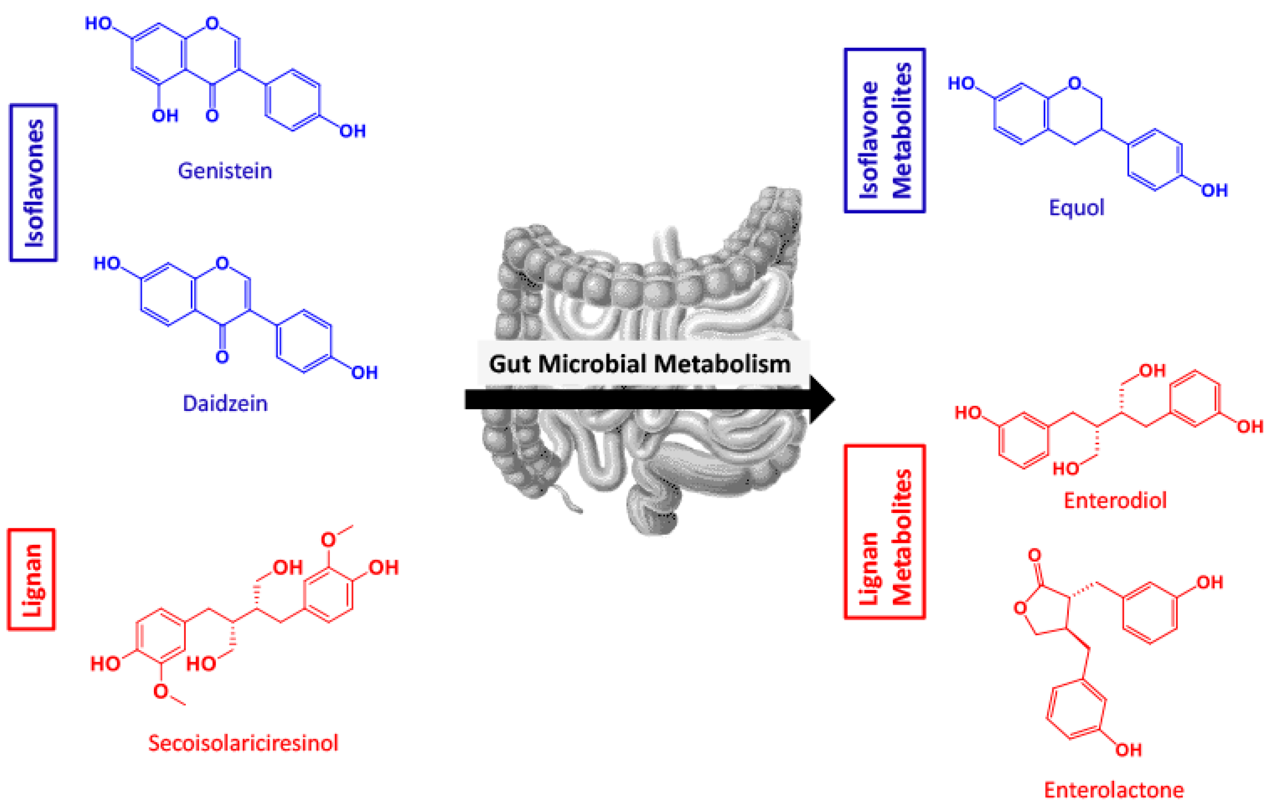Metabolites 09 00078 g001