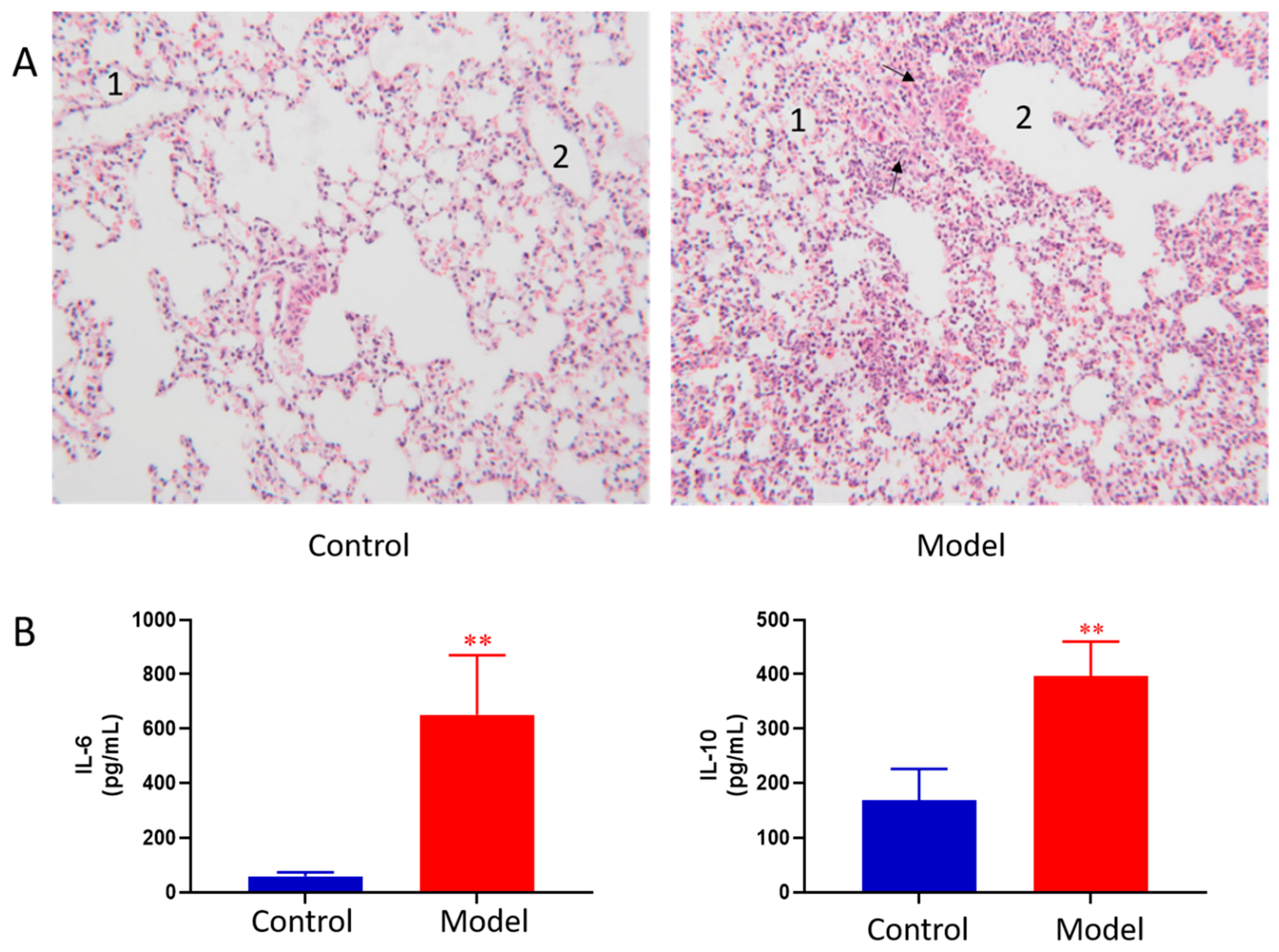Metabolites 09 00080 g001