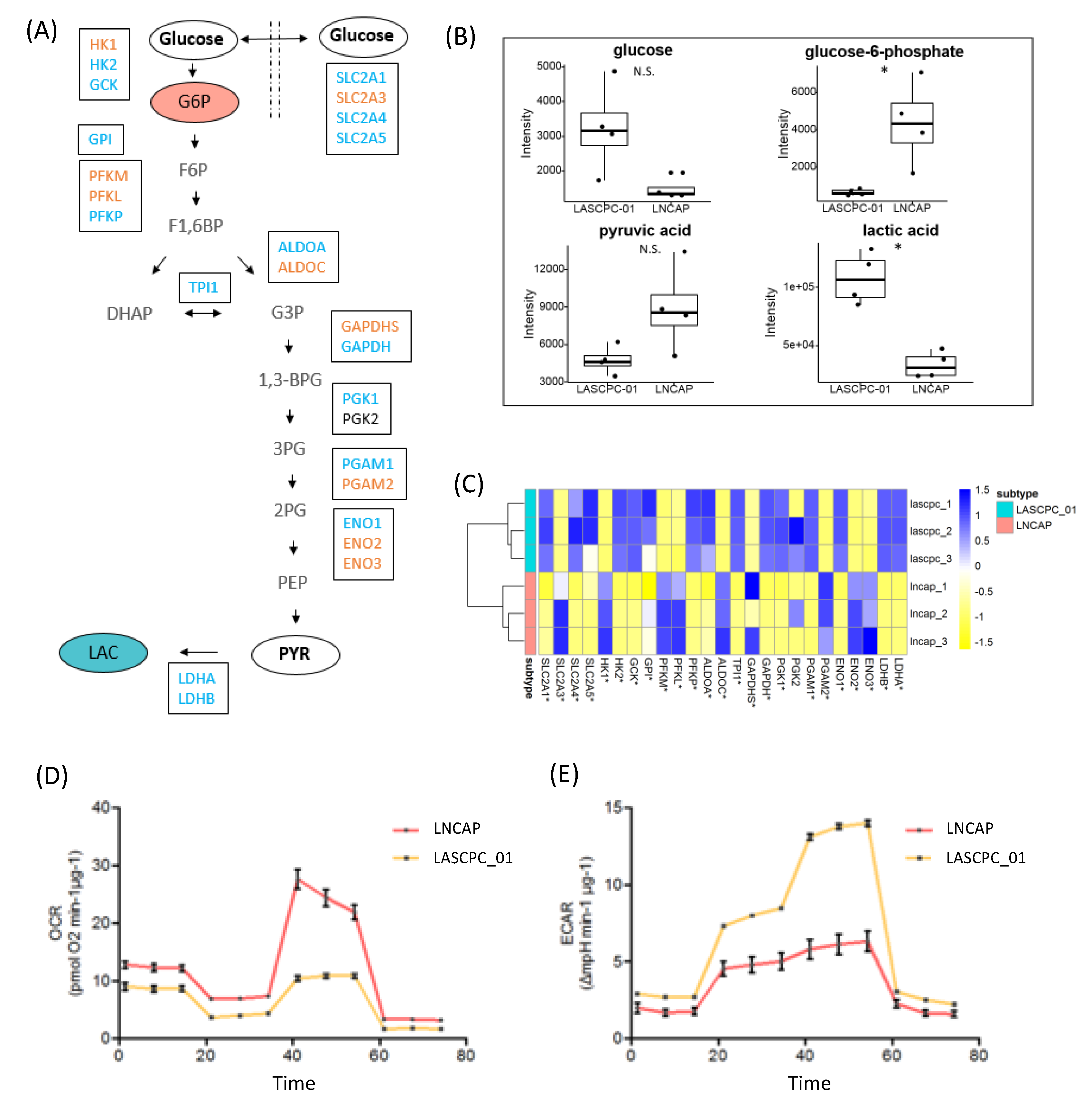 Metabolites 09 00082 g004