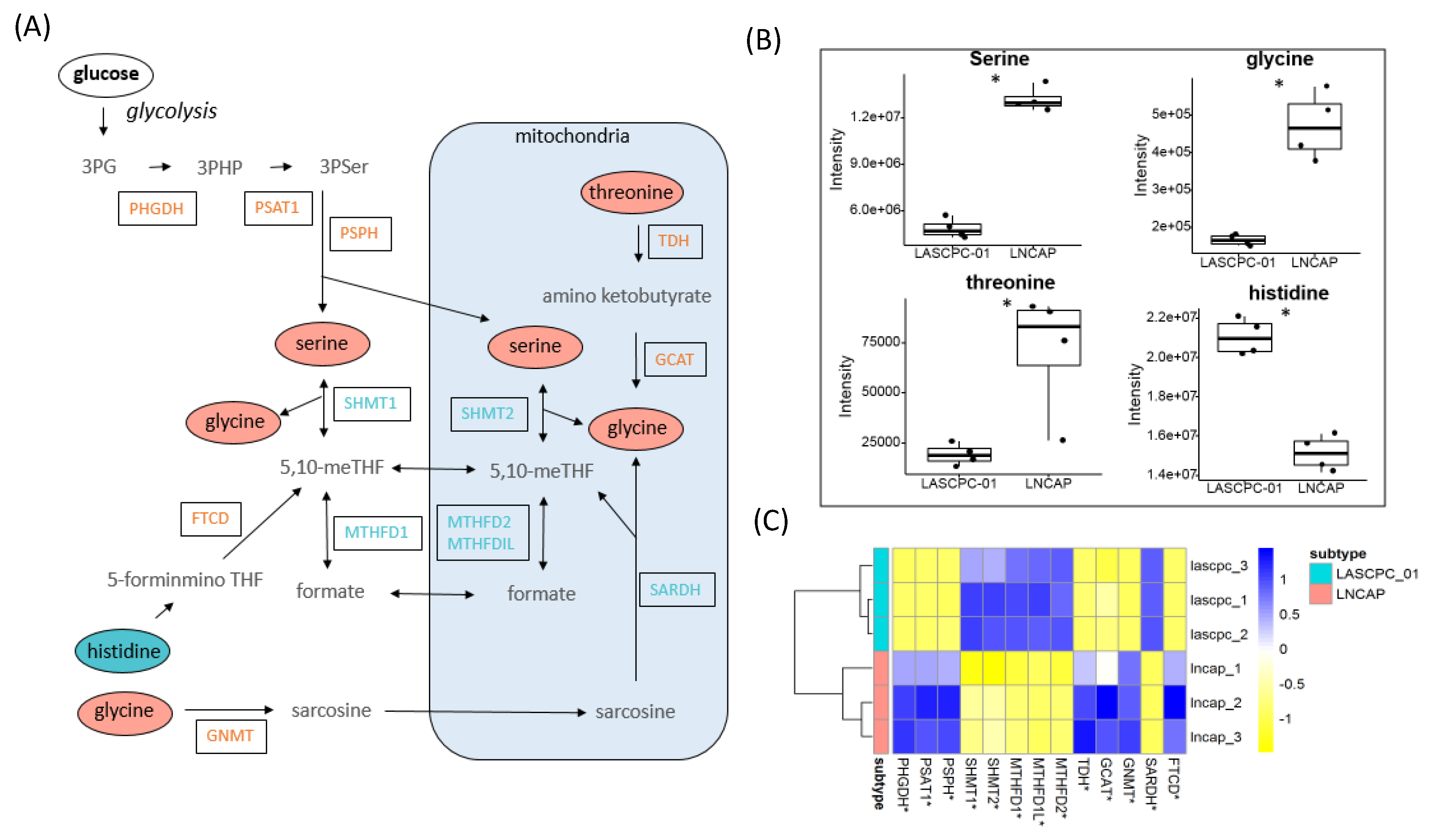 Metabolites 09 00082 g005
