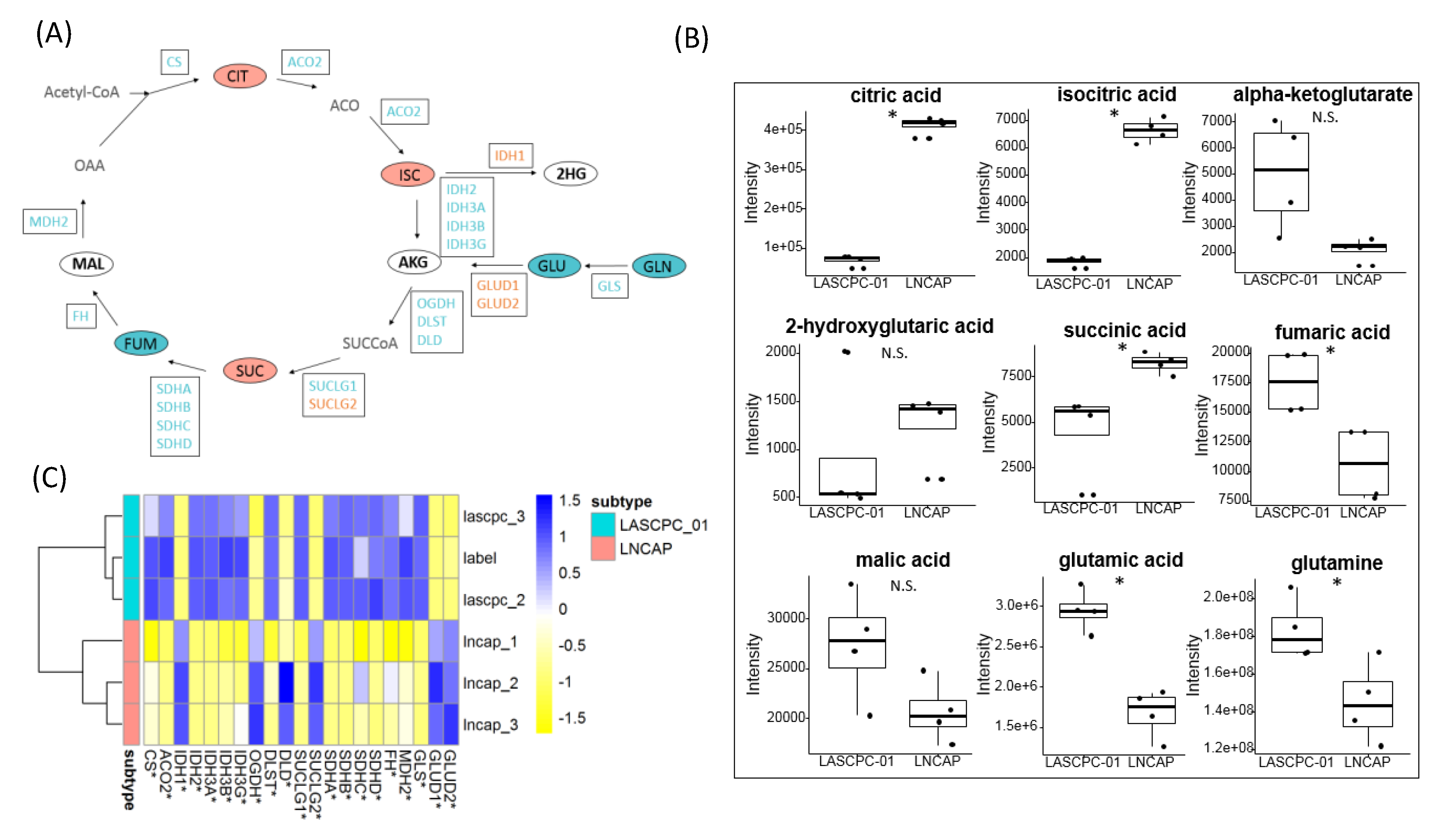 Metabolites 09 00082 g006