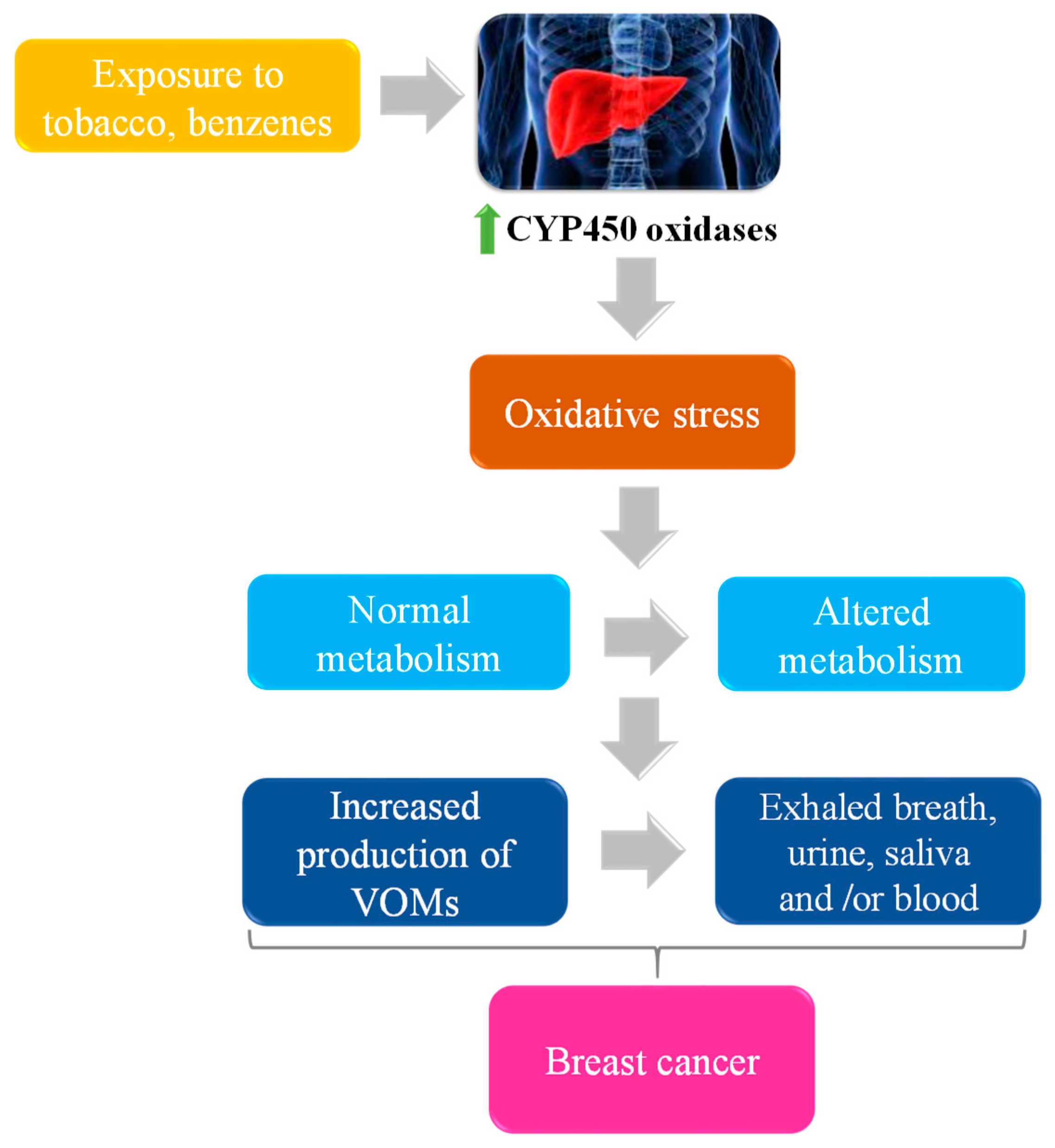 Metabolites 09 00102 g003 Metabolites 09 00102 g003