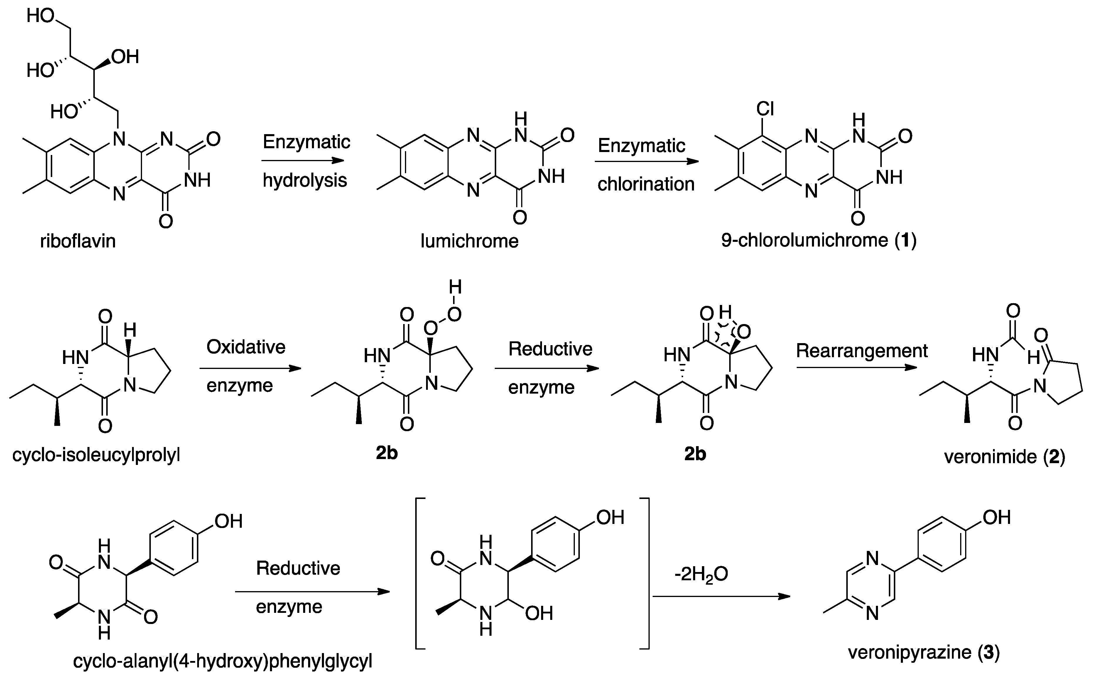 Metabolites 09 00110 sch001
