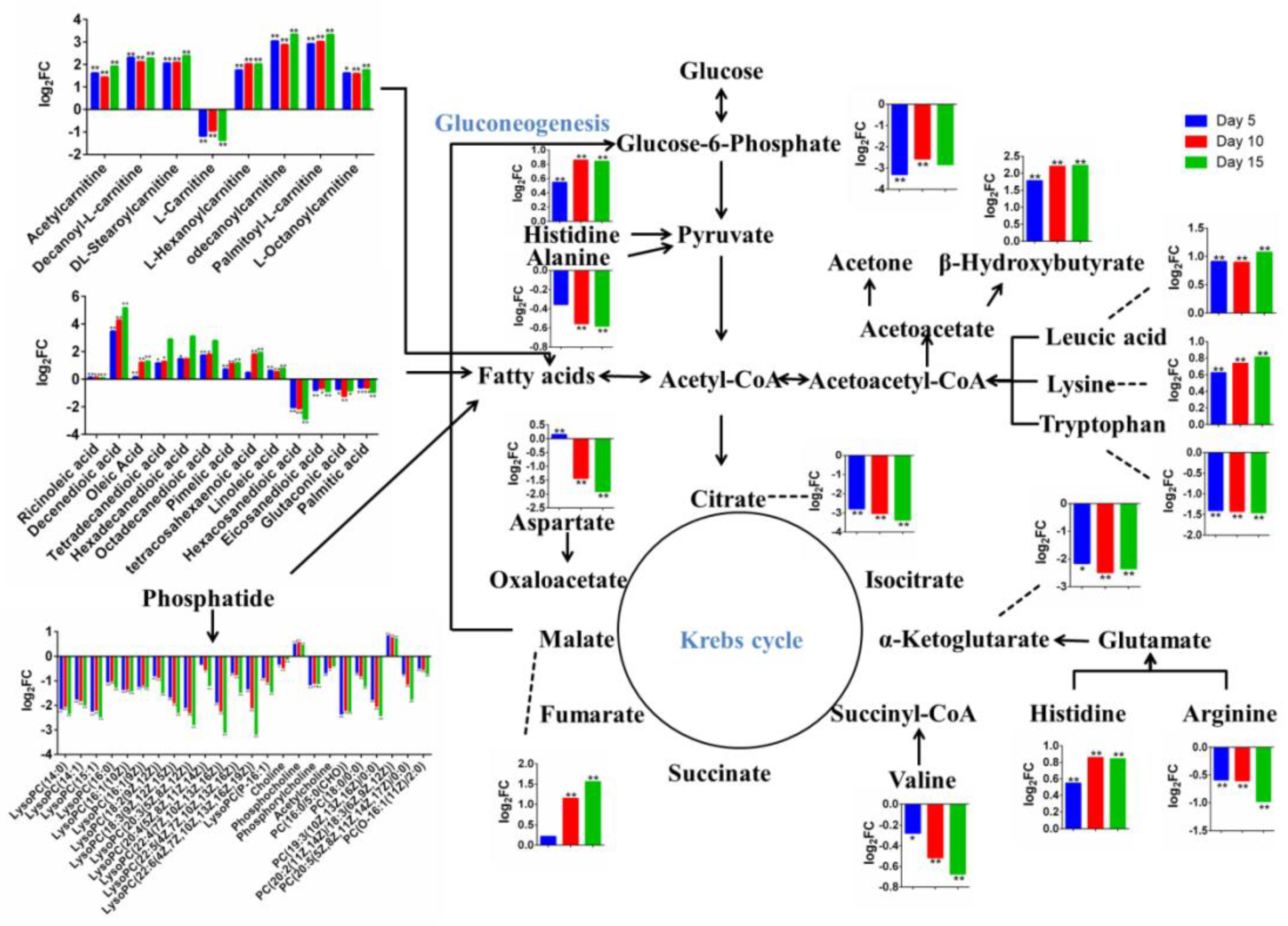 Metabolites 09 00112 g006