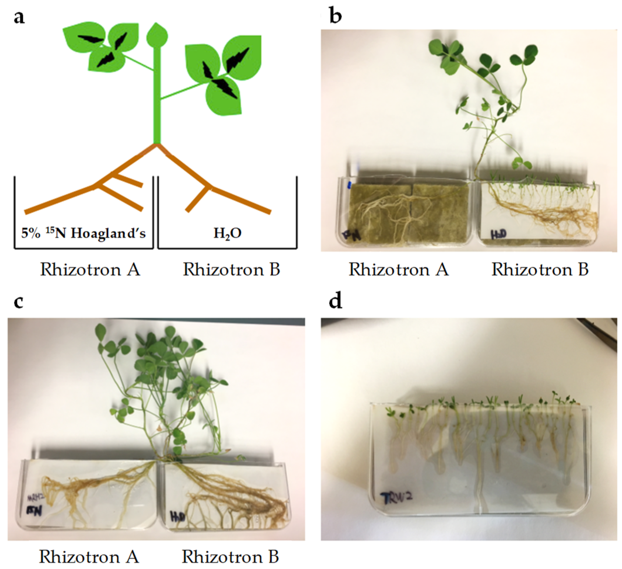Metabolites 09 00114 g006