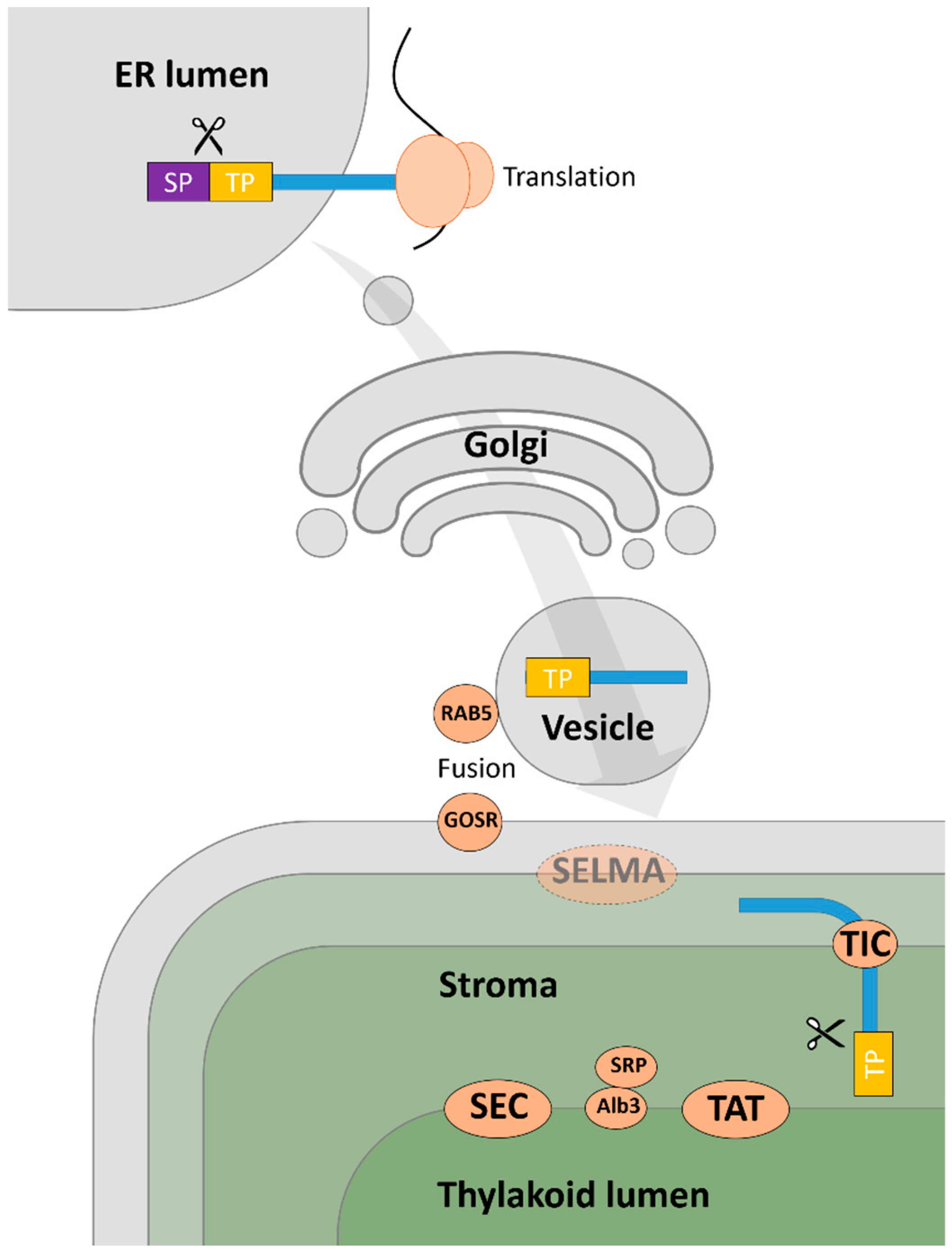 Metabolites 09 00115 g001 Metabolites 09 00115 g001