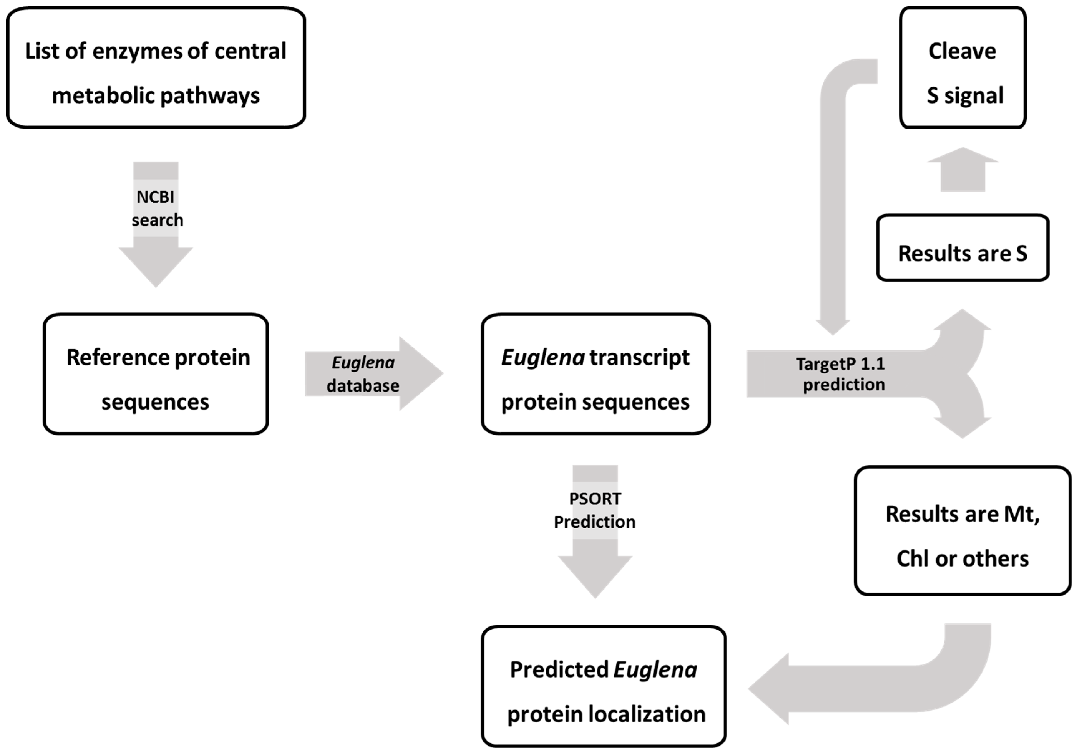 Metabolites 09 00115 g003 Metabolites 09 00115 g003