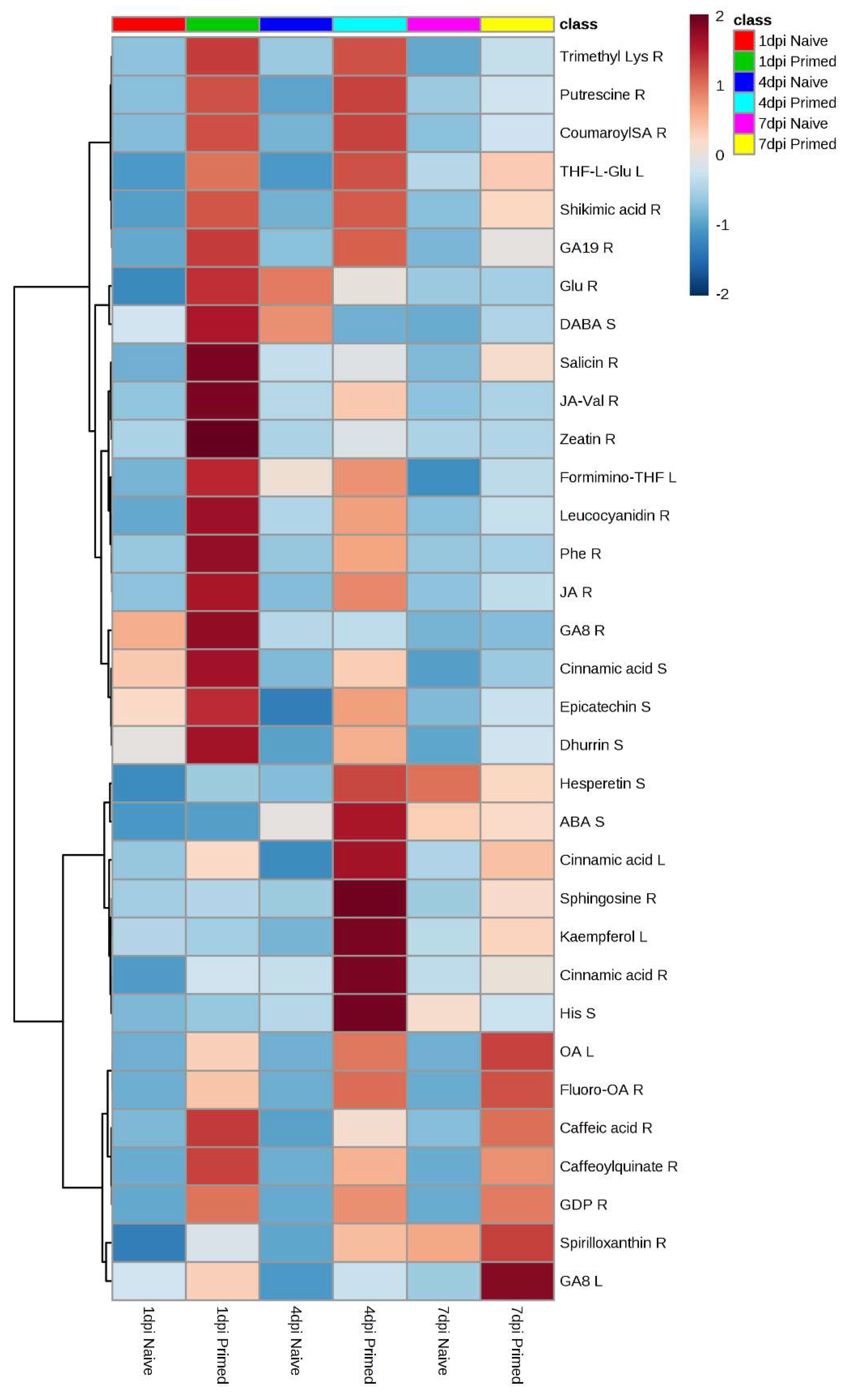 Metabolites 09 00150 g005