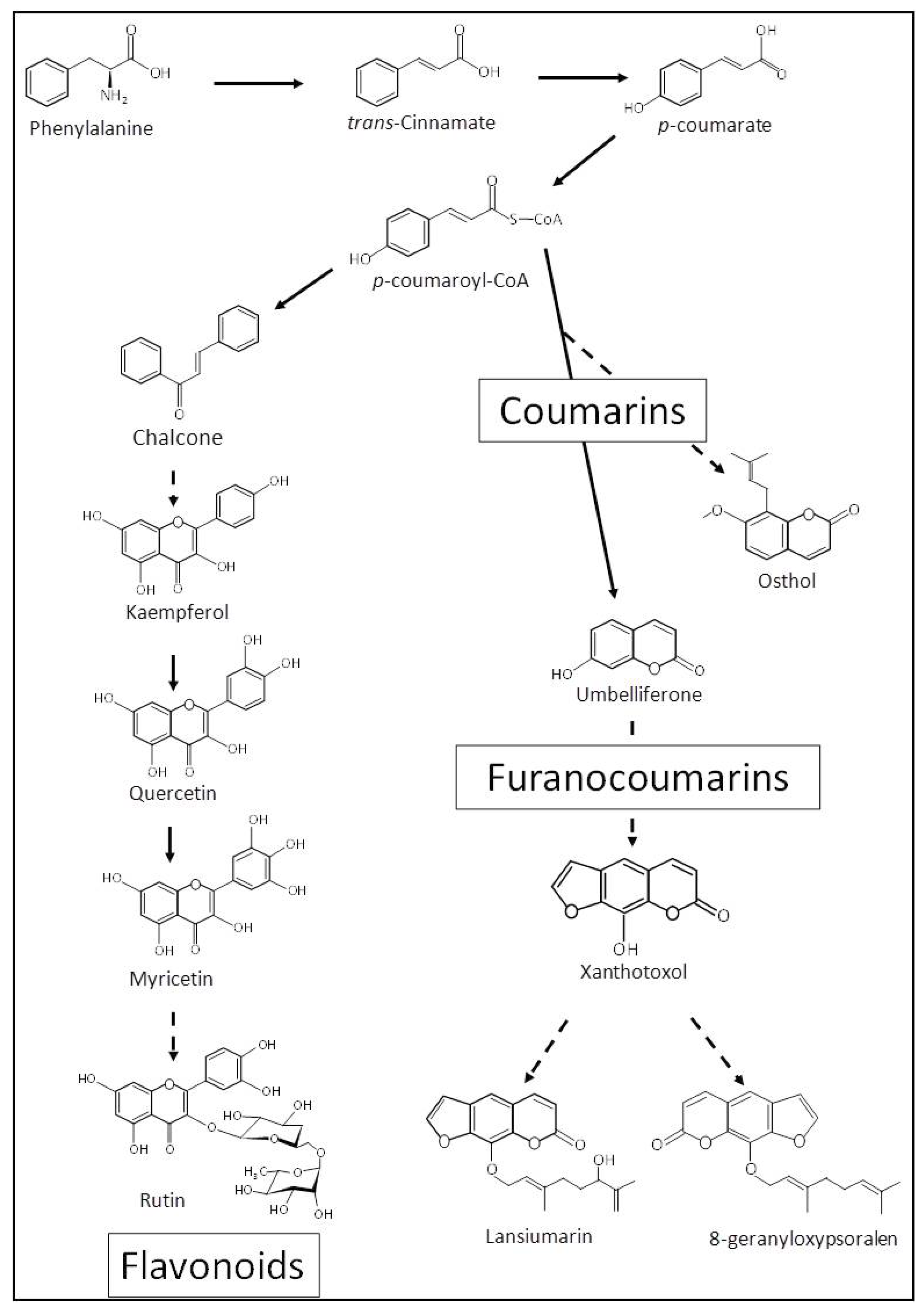 Metabolites 09 00153 g003