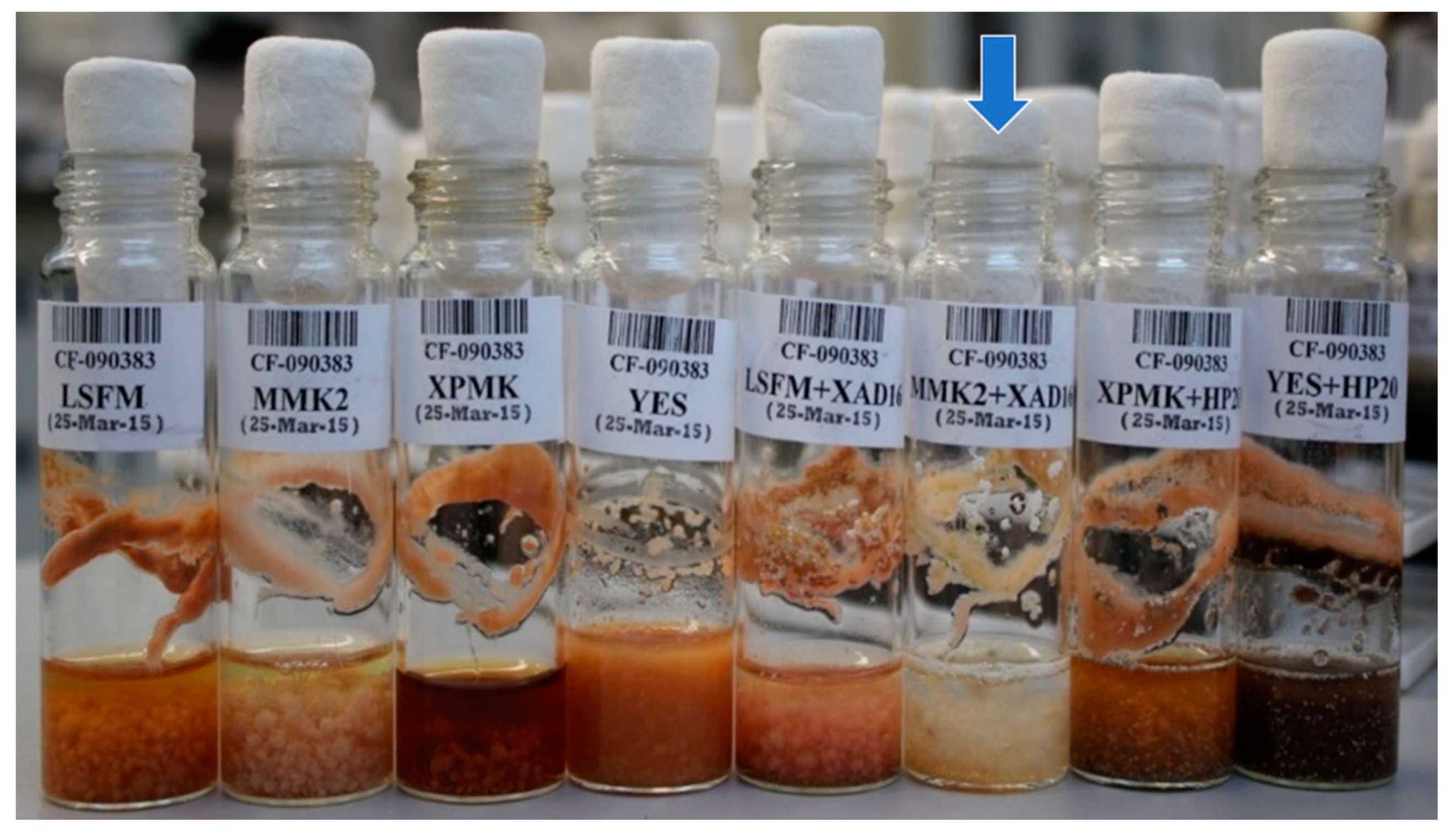 Metabolites 09 00197 g002